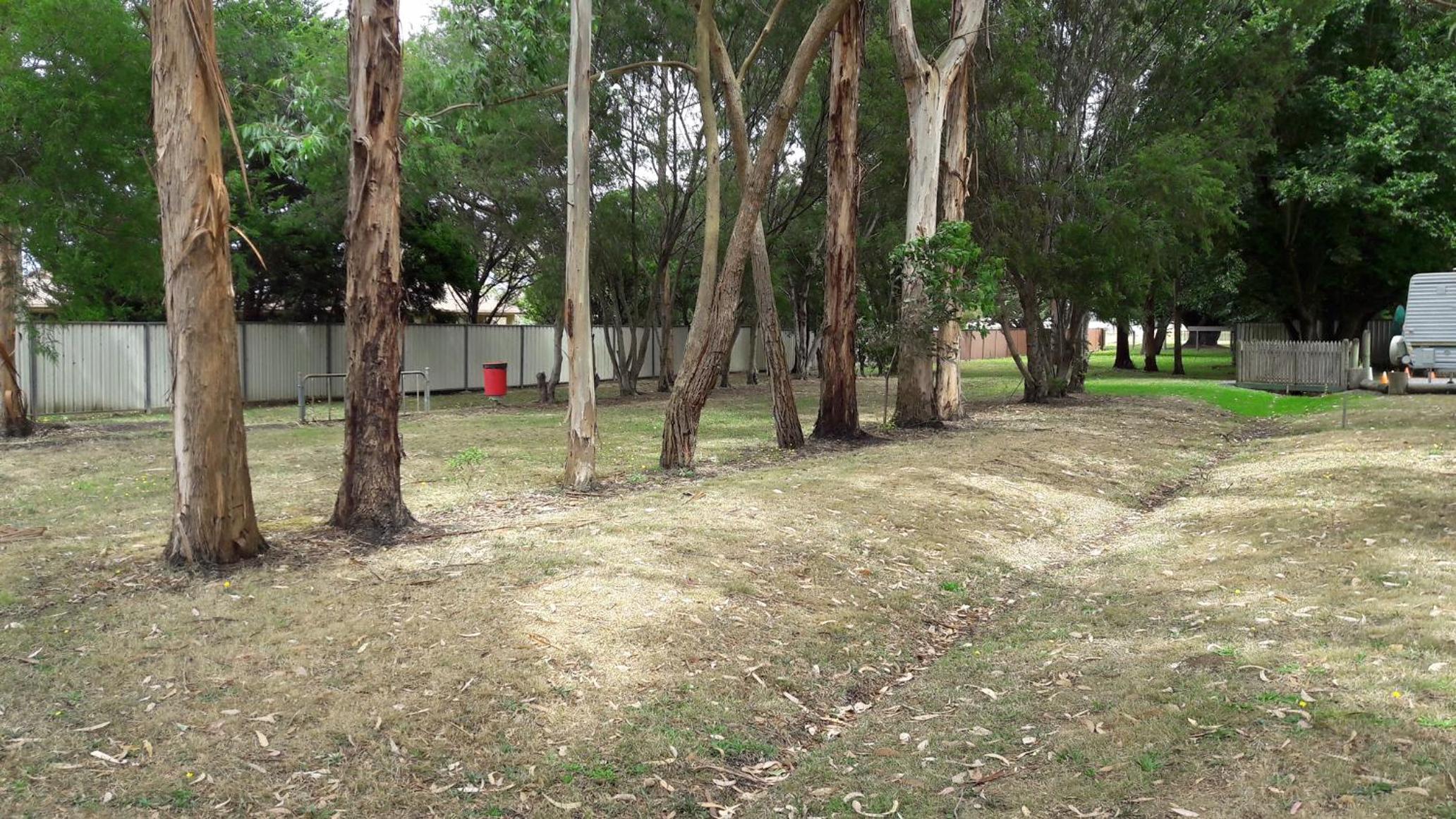 Photo 6