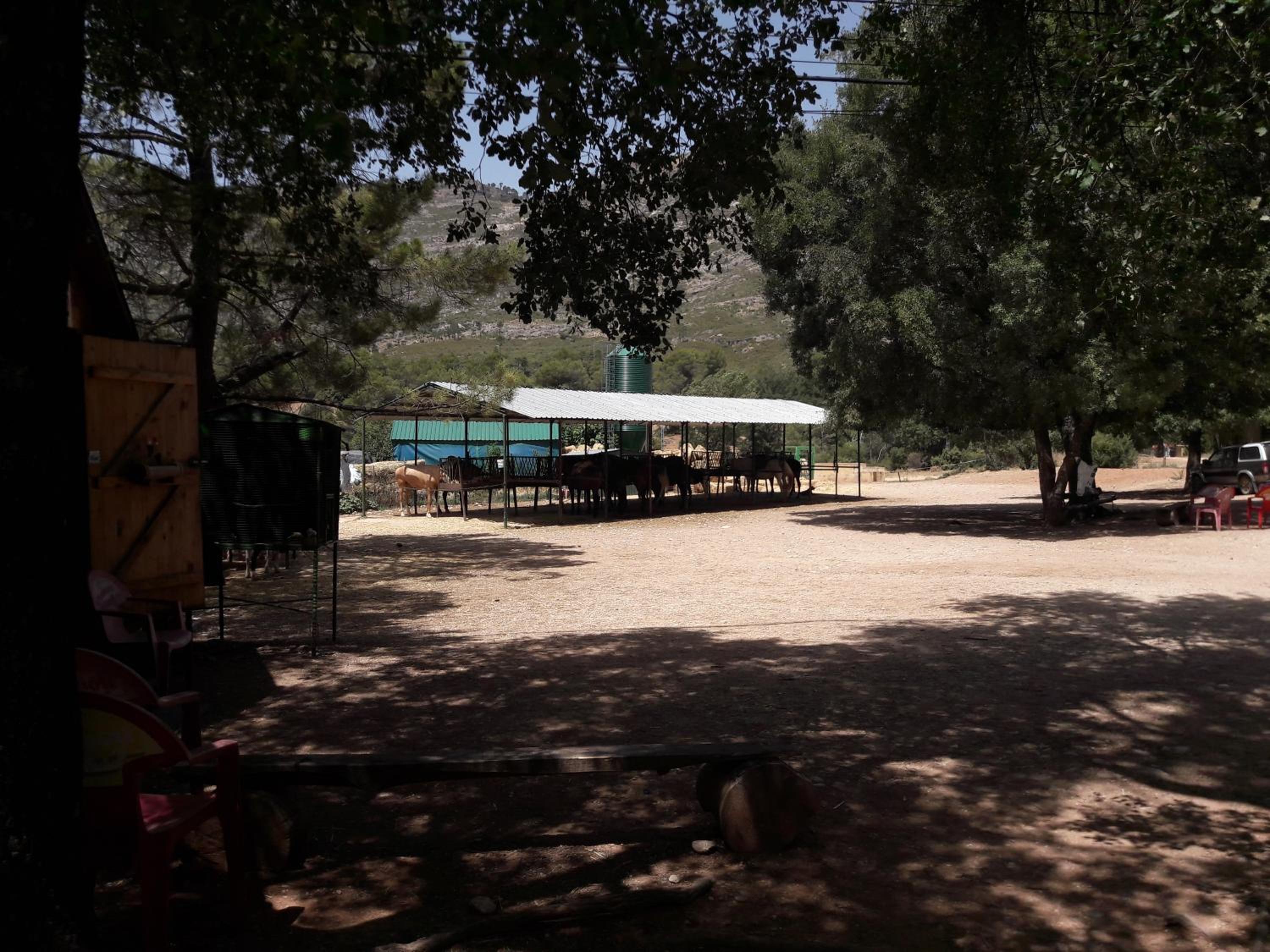 Sierra de Cazorla