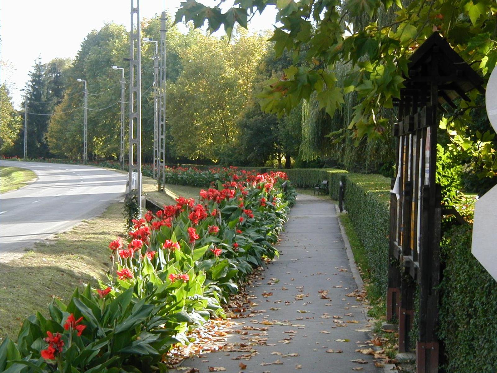 Photo 31