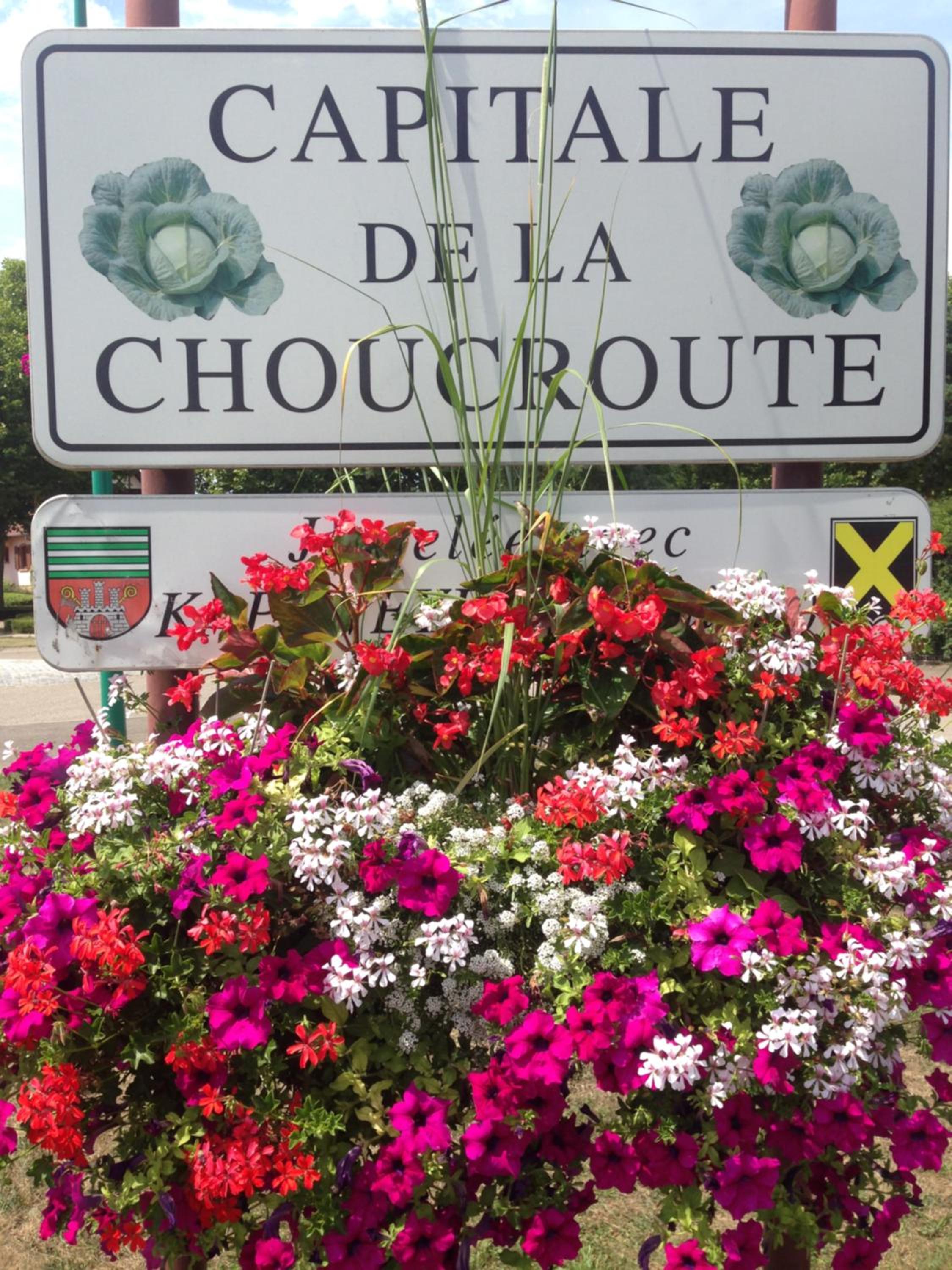 Eden des choux view 5