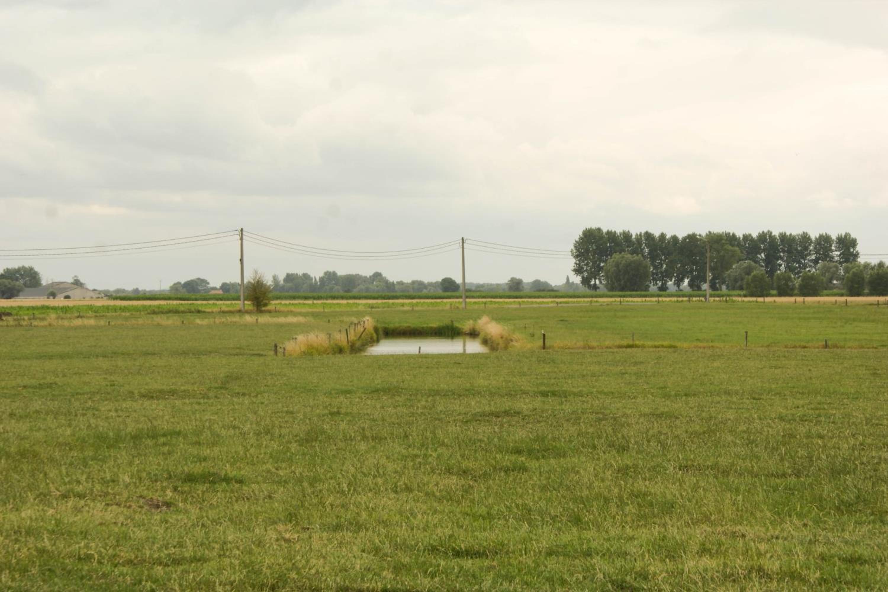 De Goudmijn