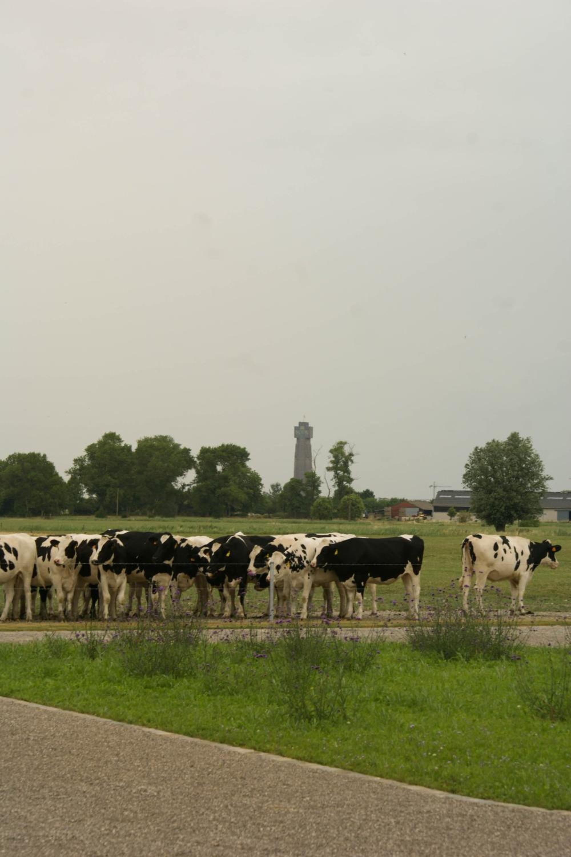 De Goudmijn