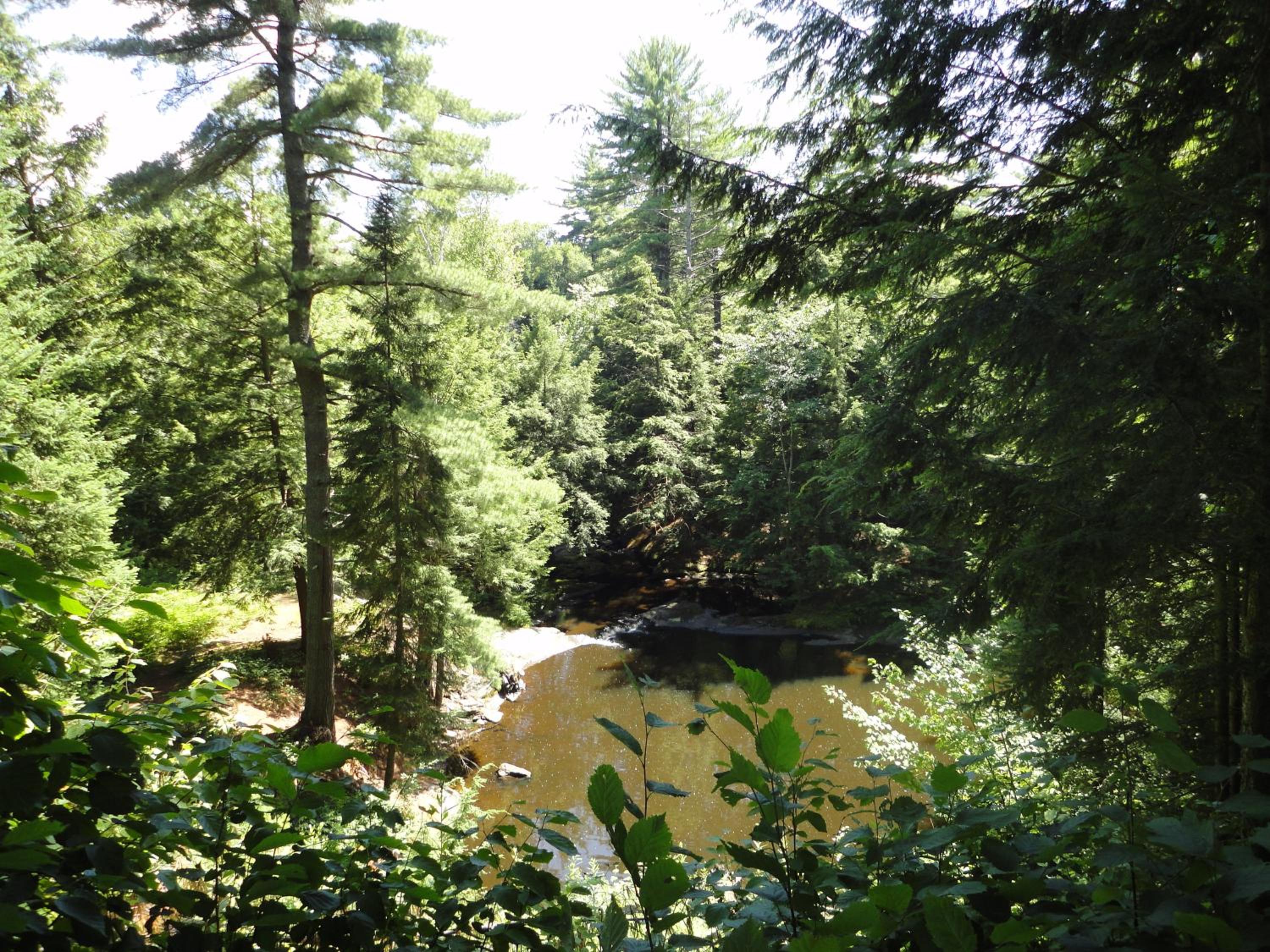 Dwight Riverside Inn