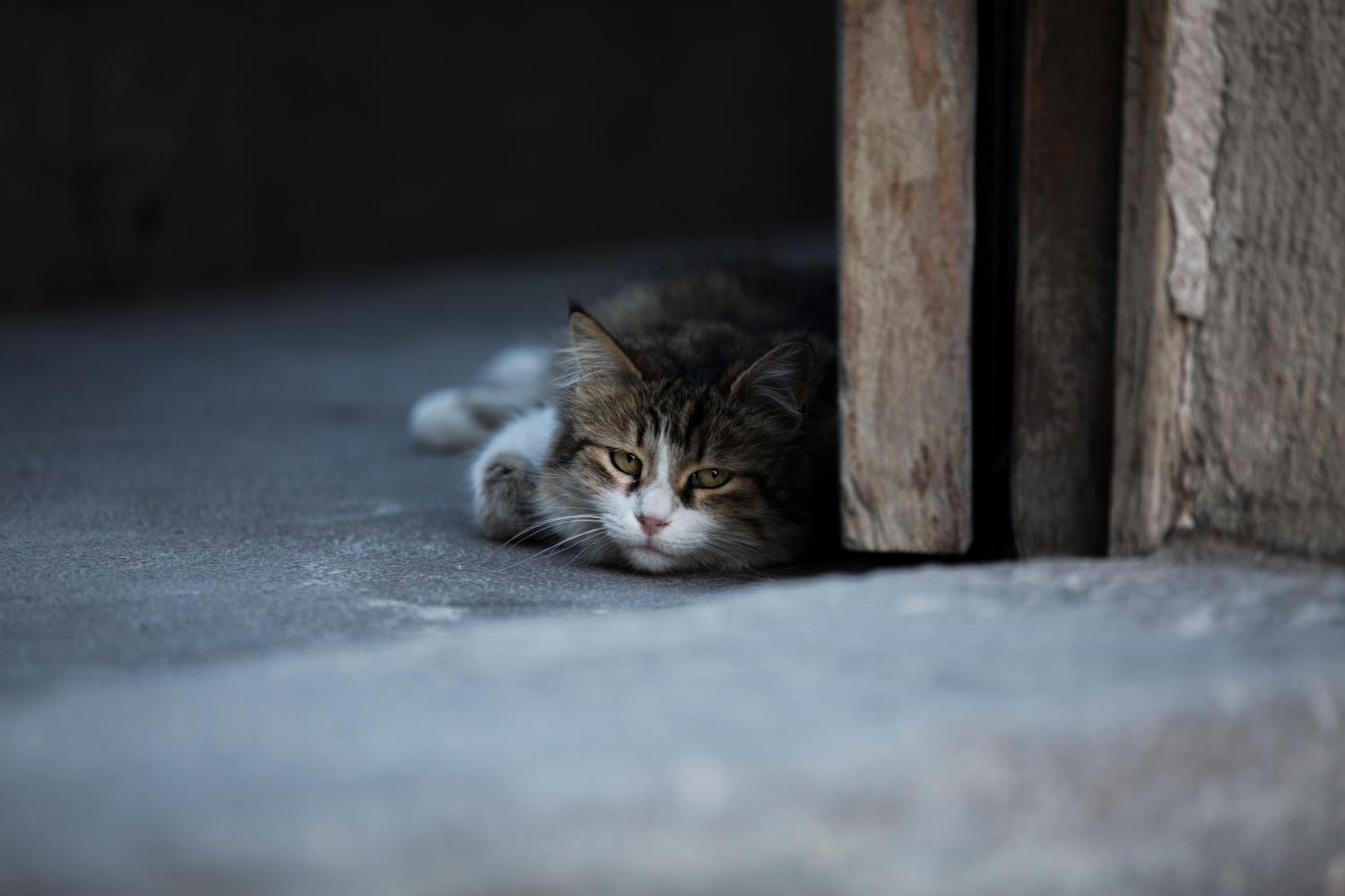 Koza Cave Hotel - Image 41