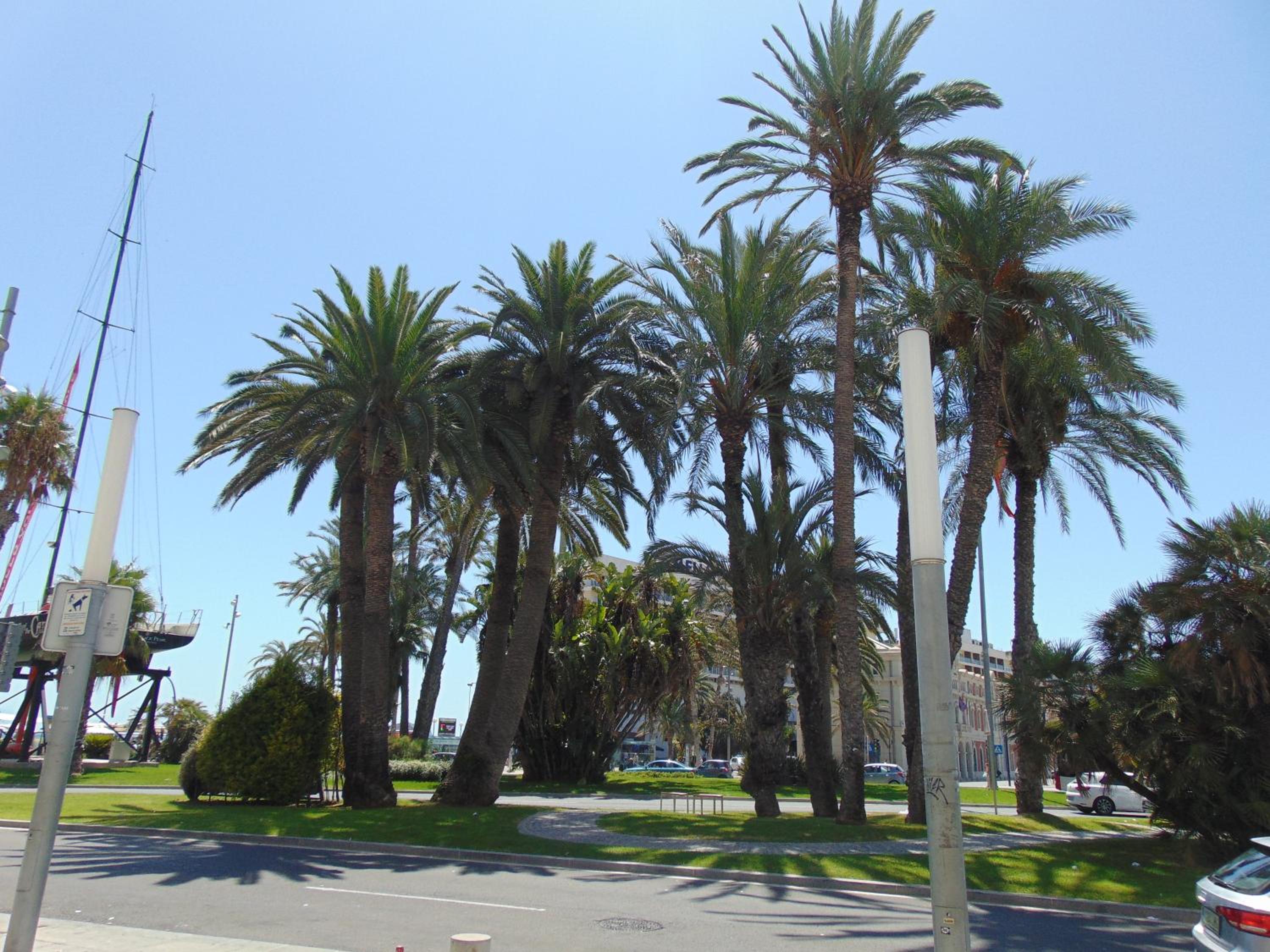 Apartamentos Playa Postiguet Alicante