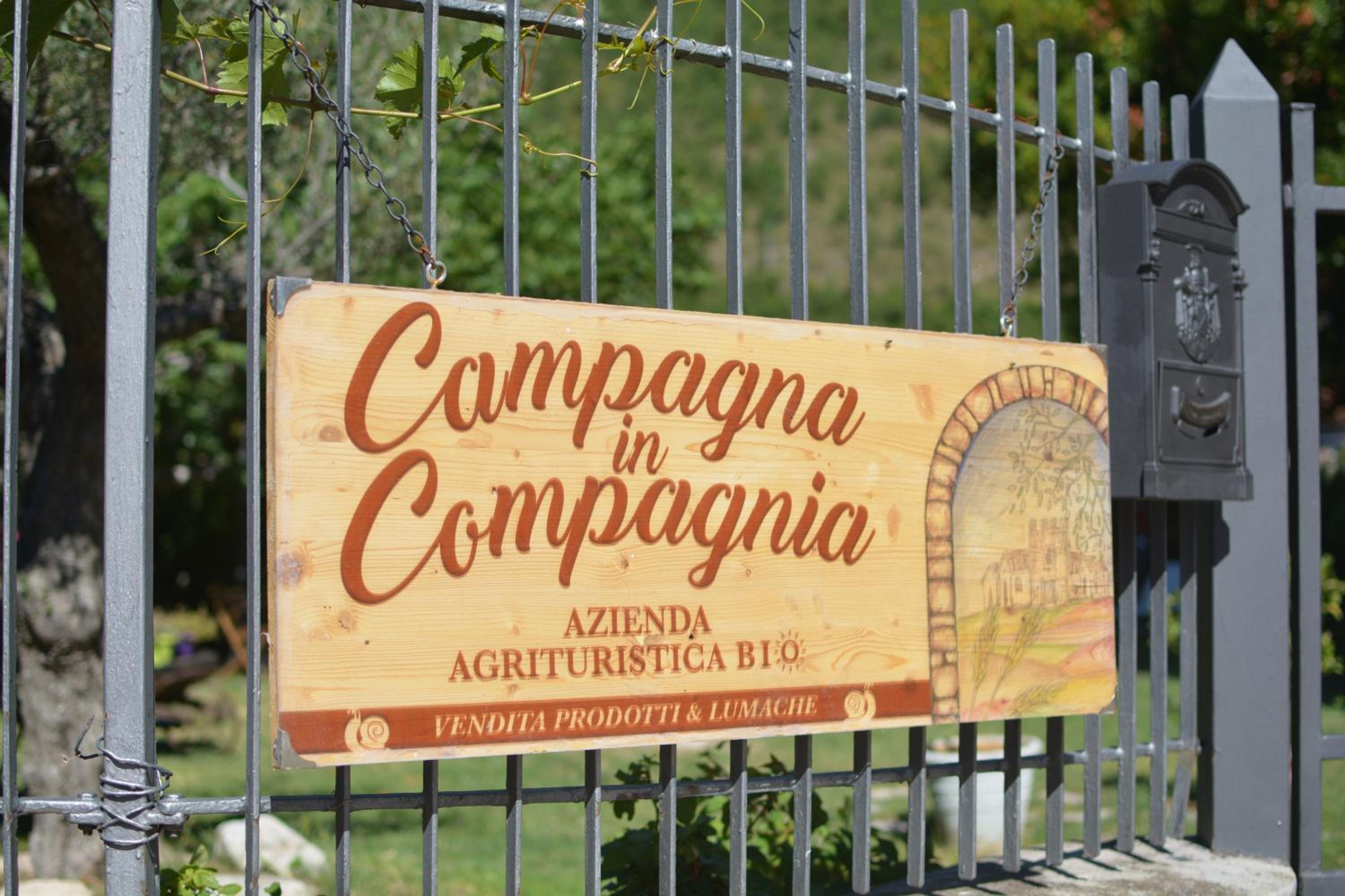 Agriturismo campagna in compagnia