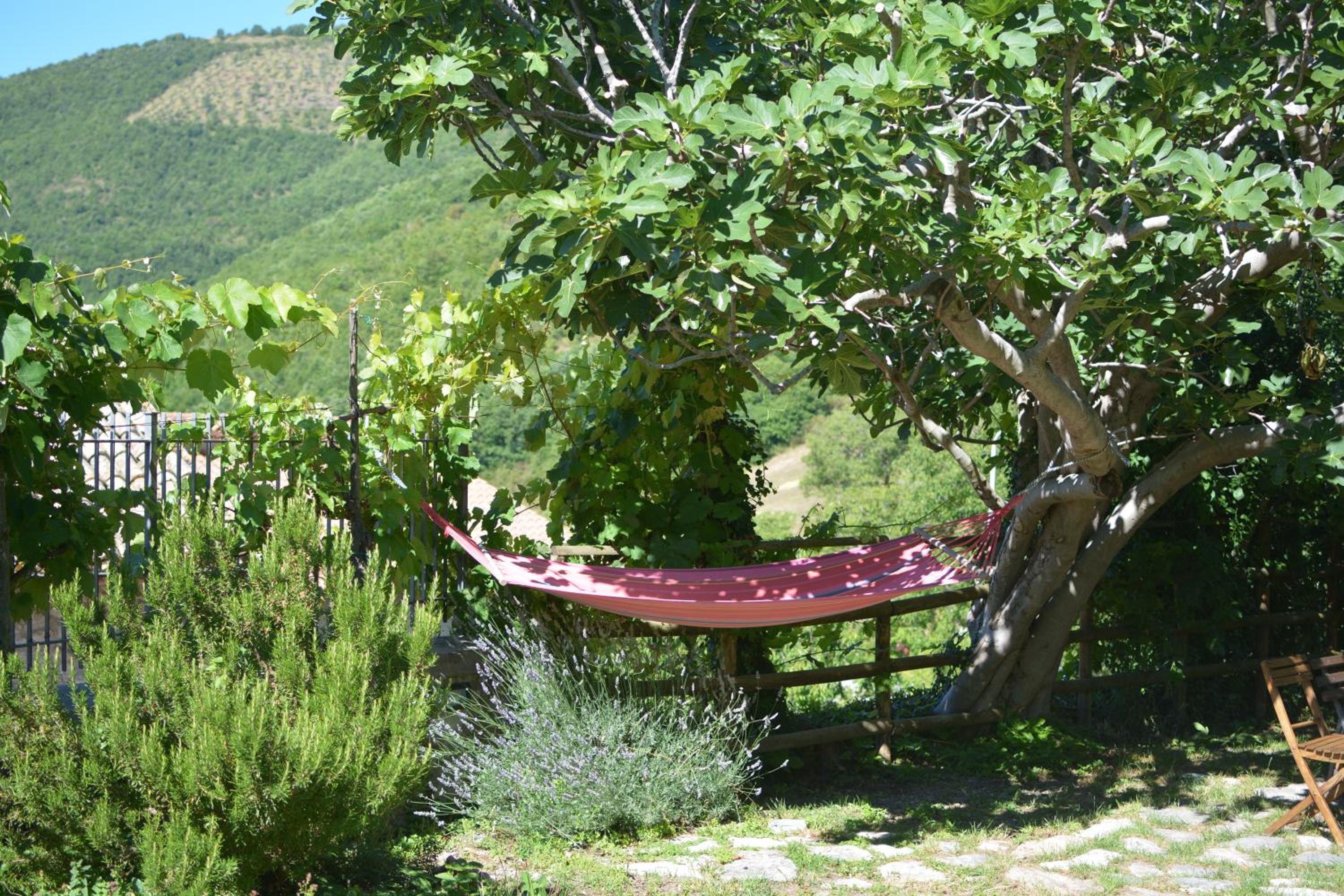 Agriturismo campagna in compagnia