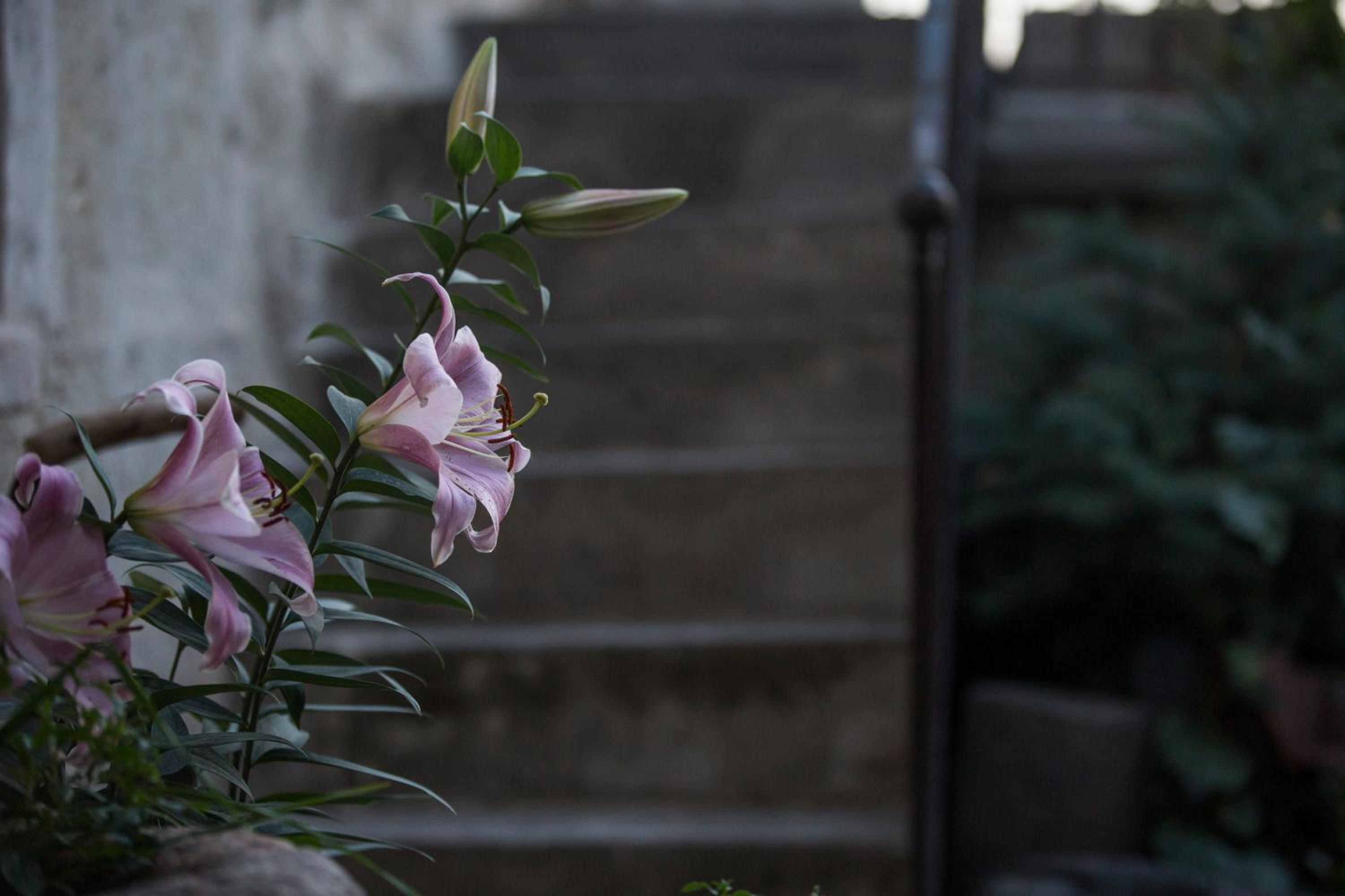 Koza Cave Hotel - Image 40