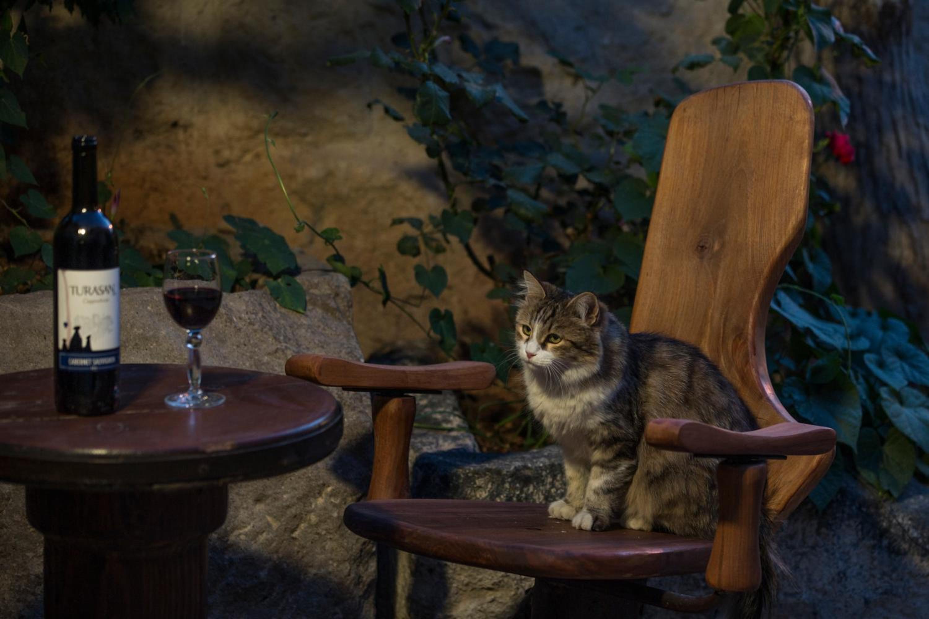 Koza Cave Hotel - Image 31