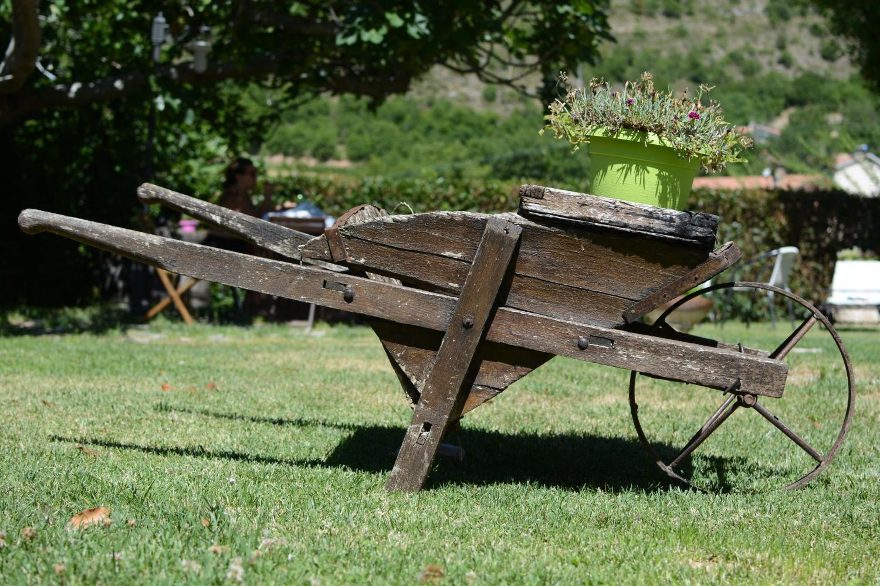 Agriturismo campagna in compagnia