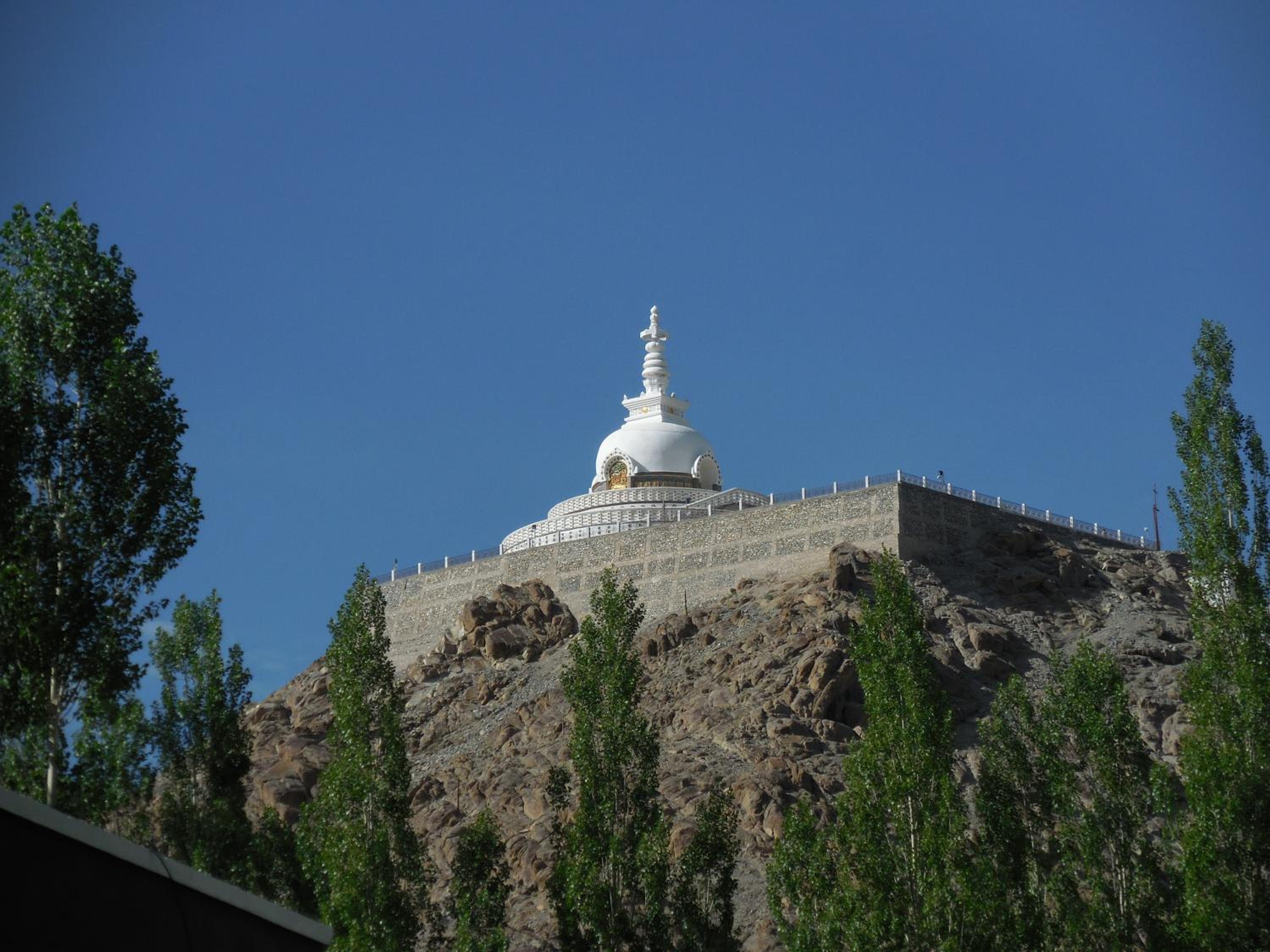 Photo 8
