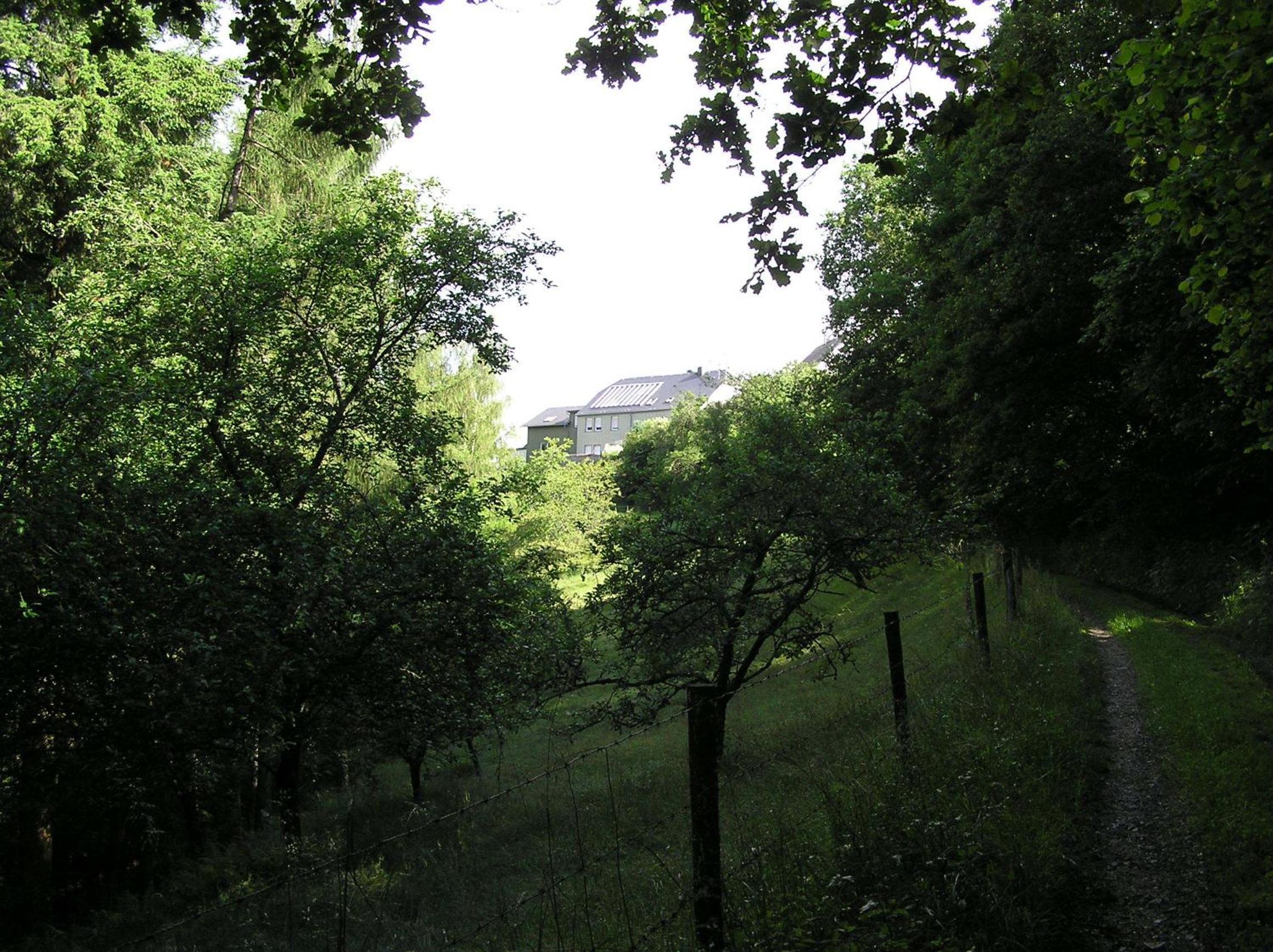 Ferienwohnung Nisius view 5