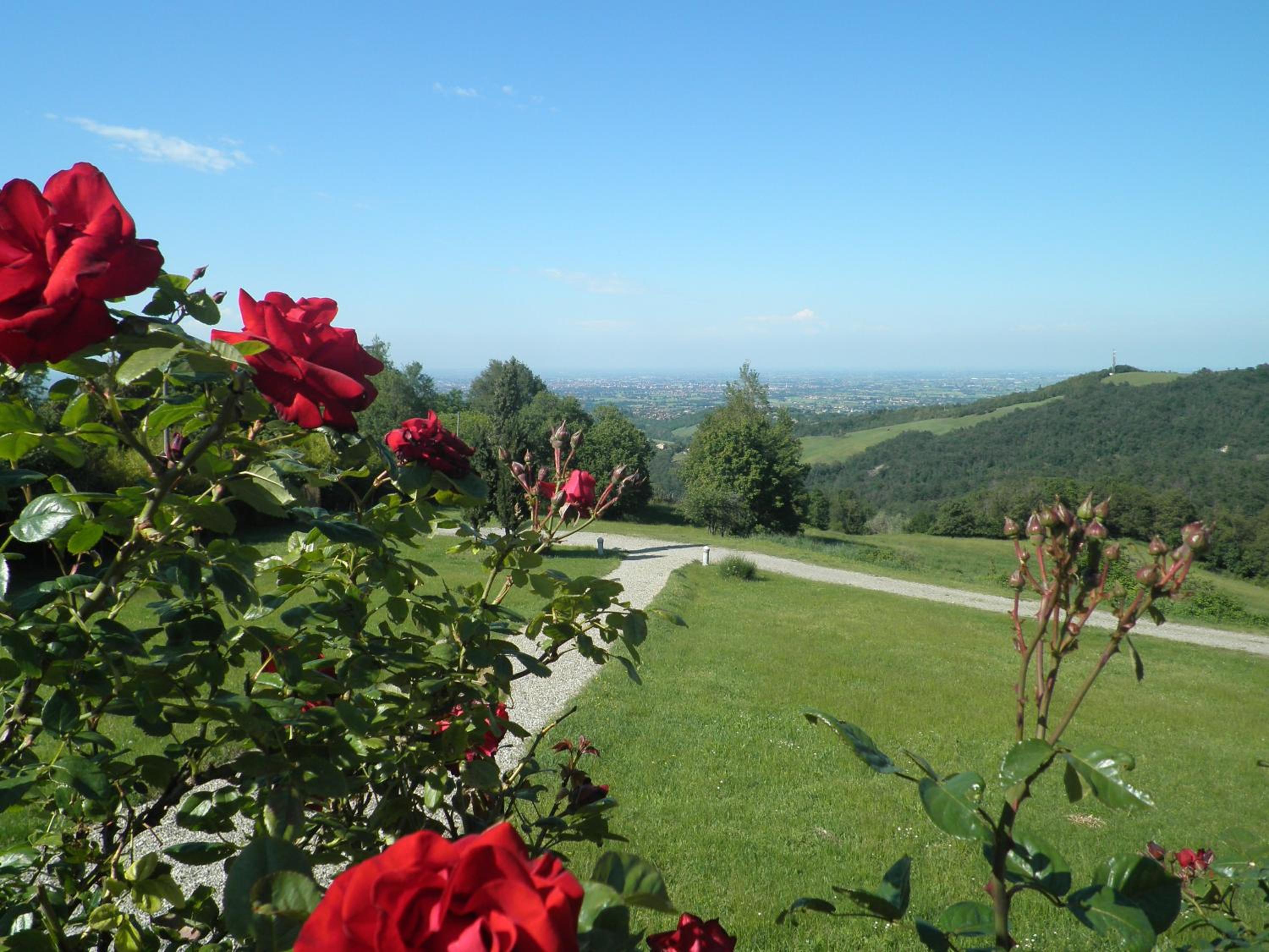 Agriturismo Cavazzone