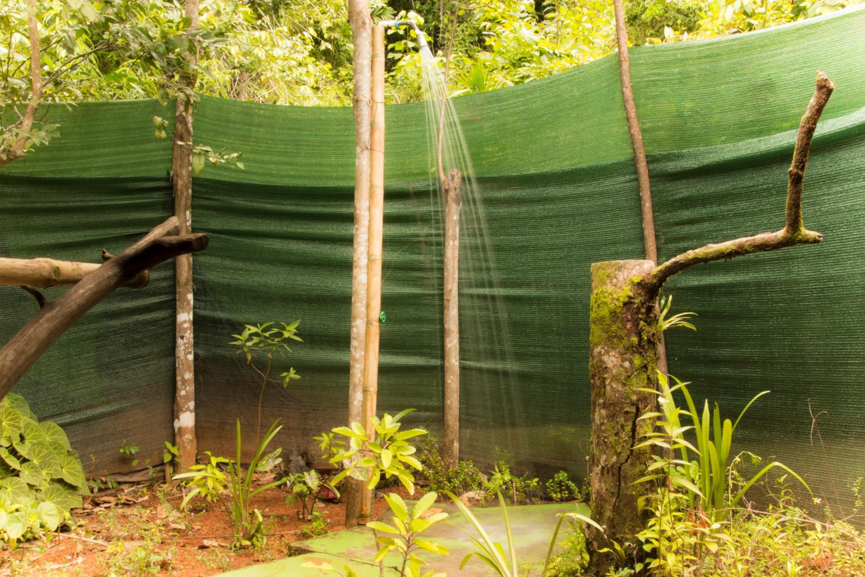 Isla Violin Eco-Lodge