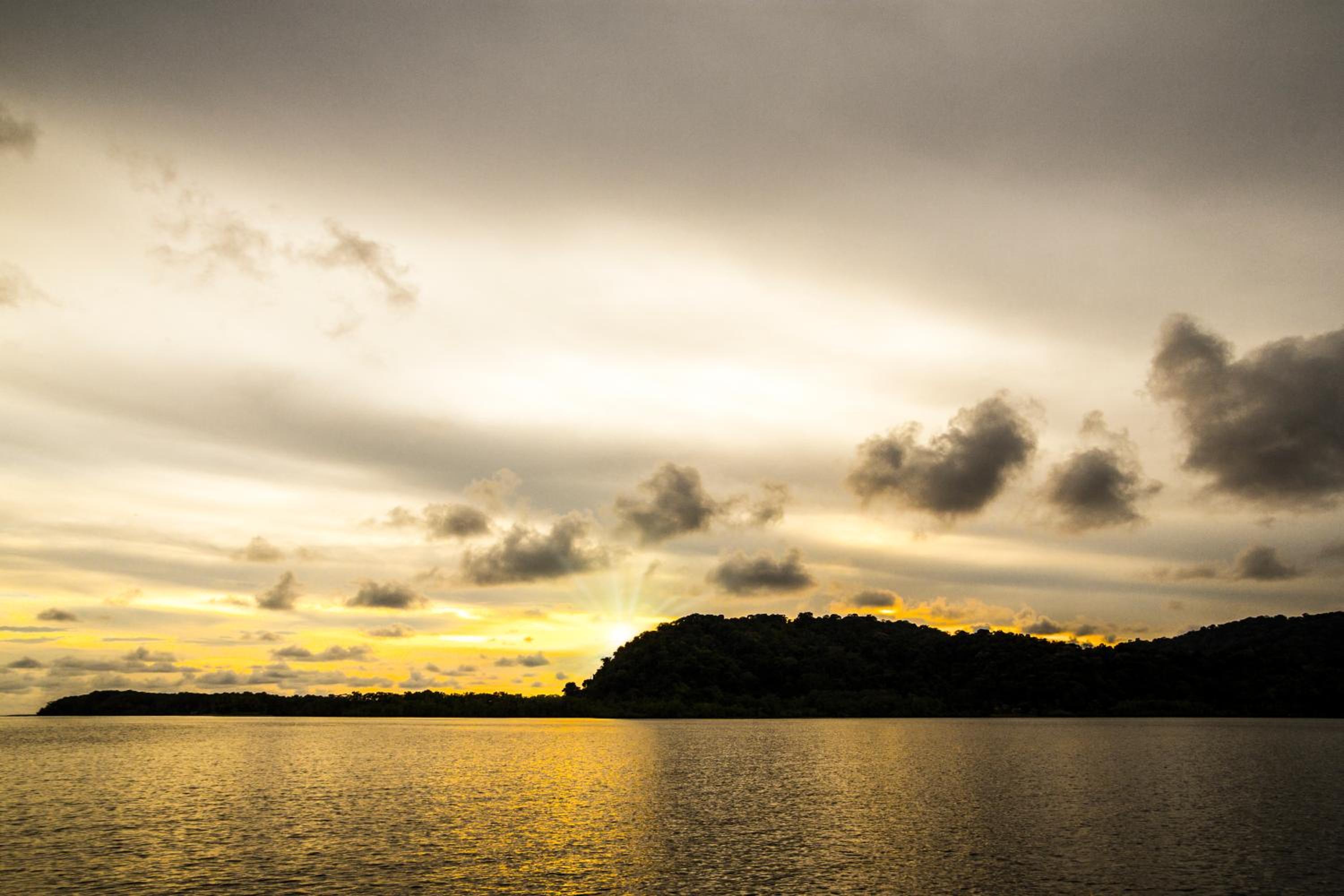 Isla Violin Eco-Lodge