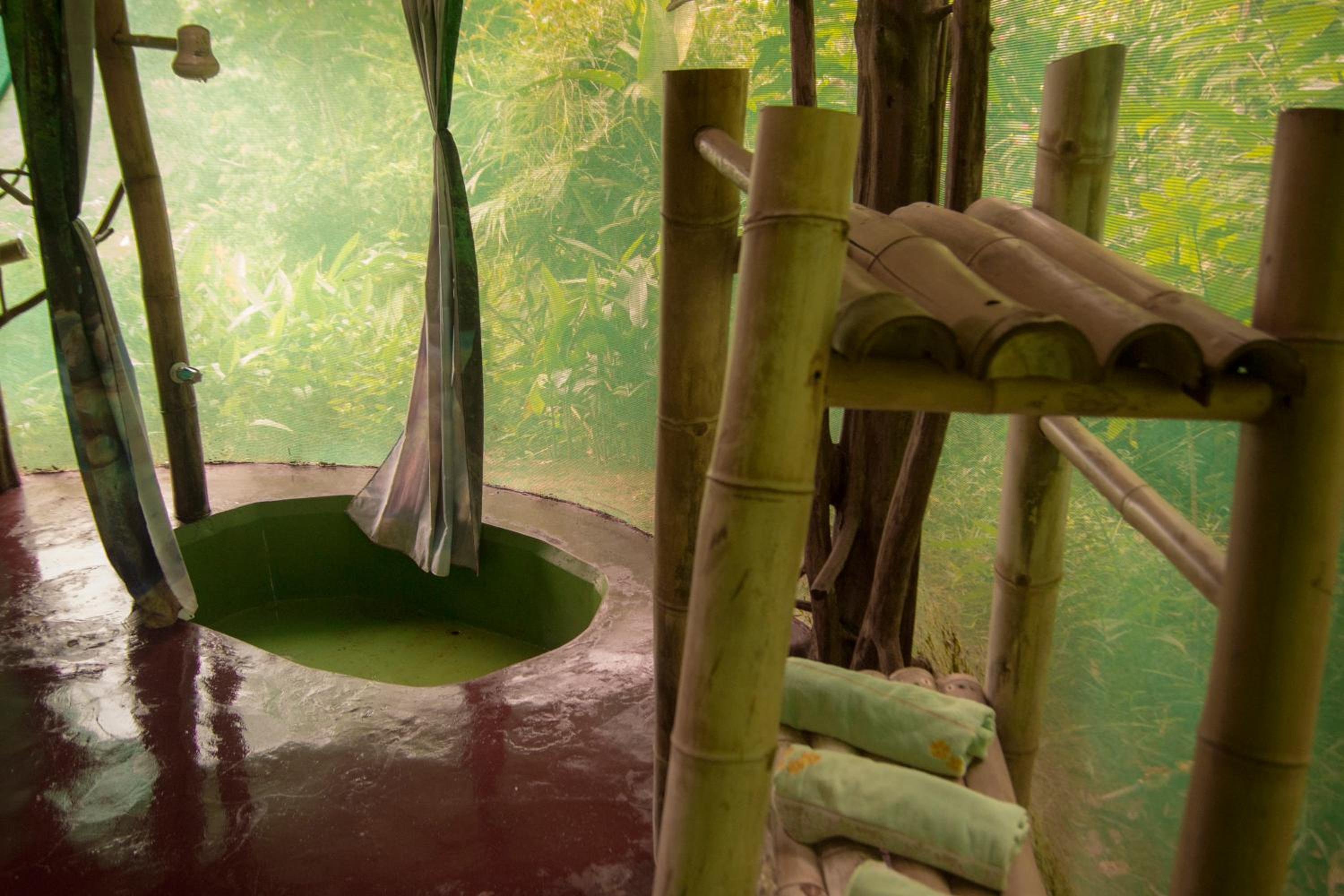 Isla Violin Eco-Lodge