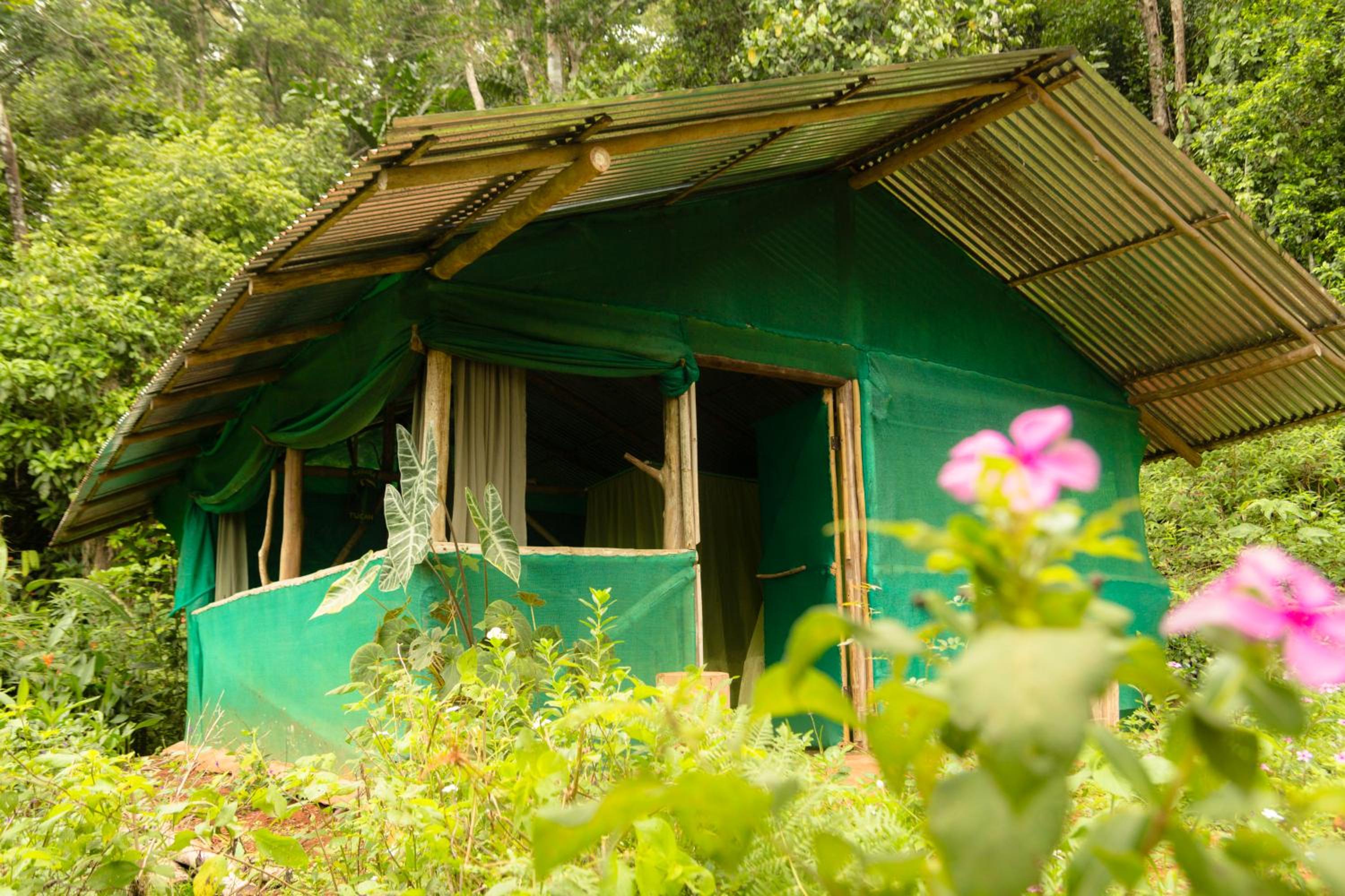 Isla Violin Eco-Lodge