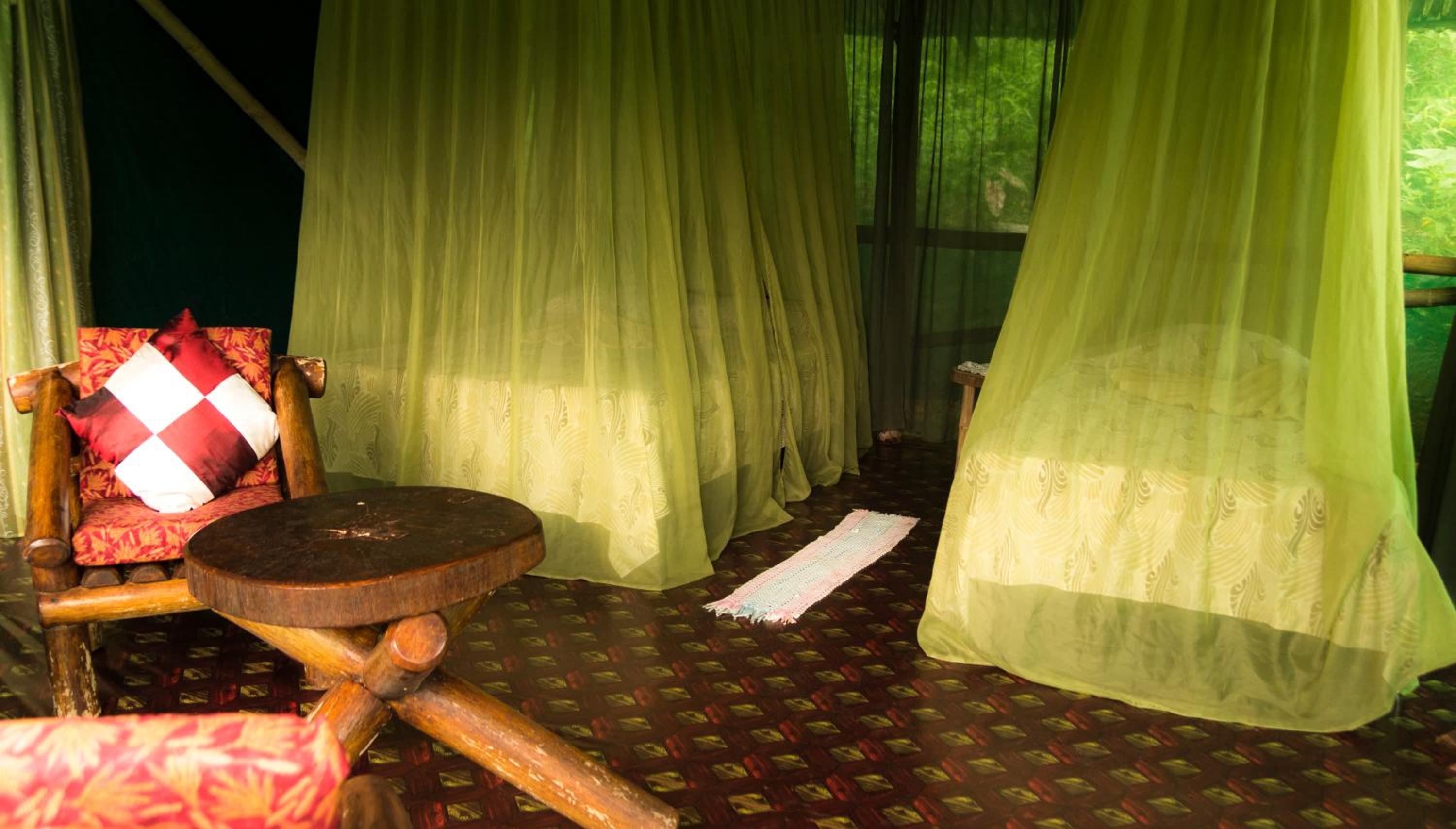 Isla Violin Eco-Lodge