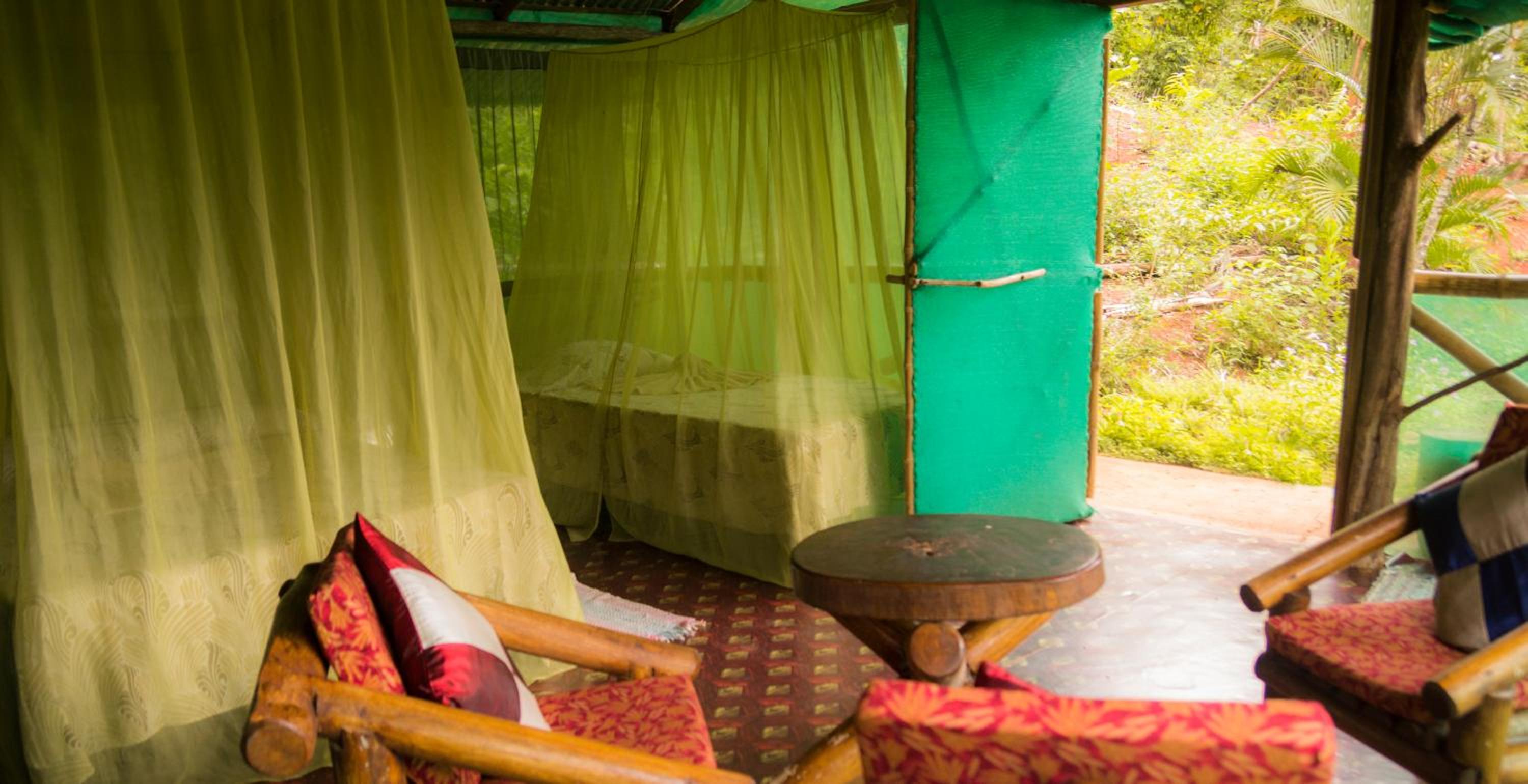 Isla Violin Eco-Lodge