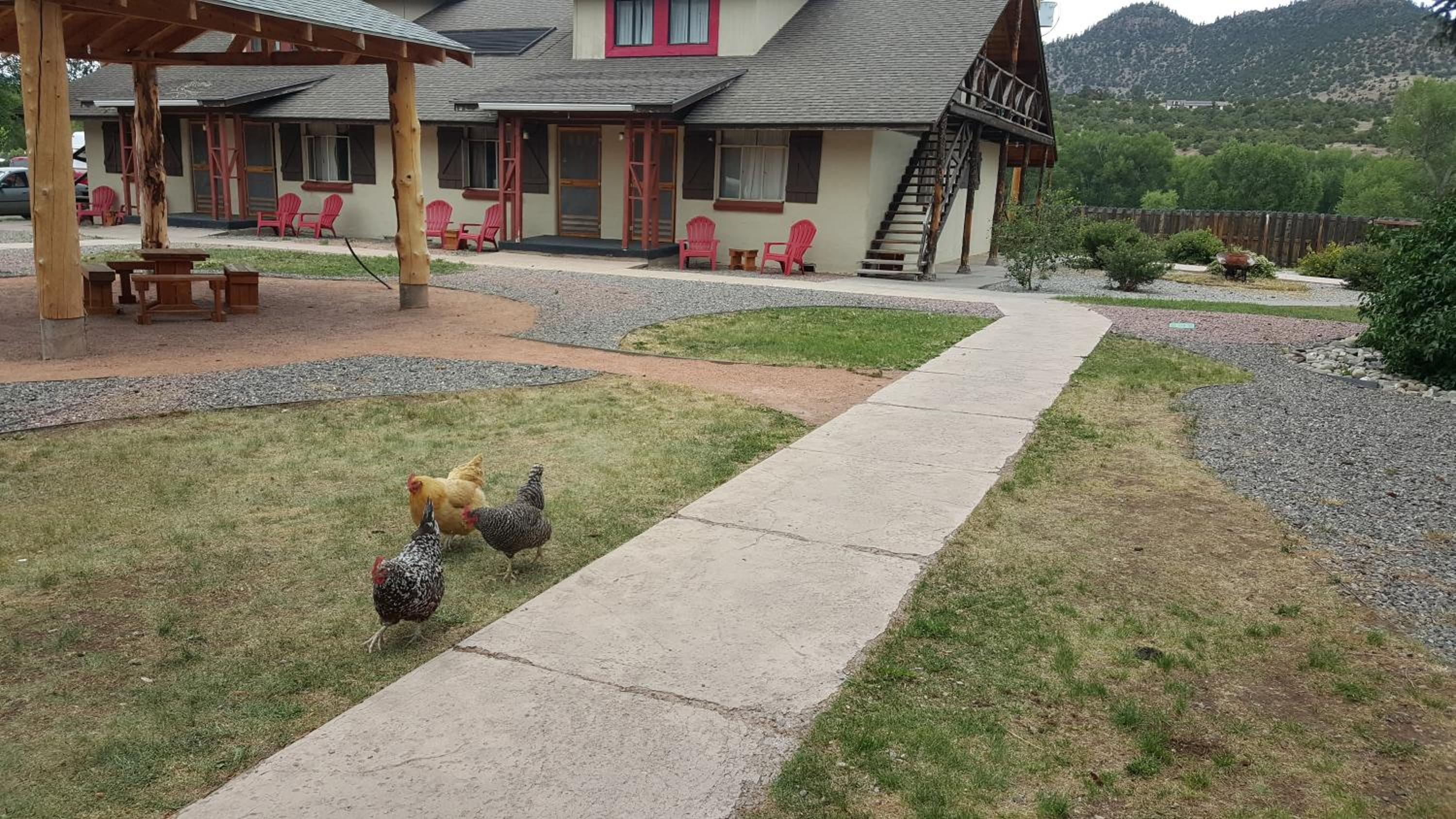 The Spruce Lodge