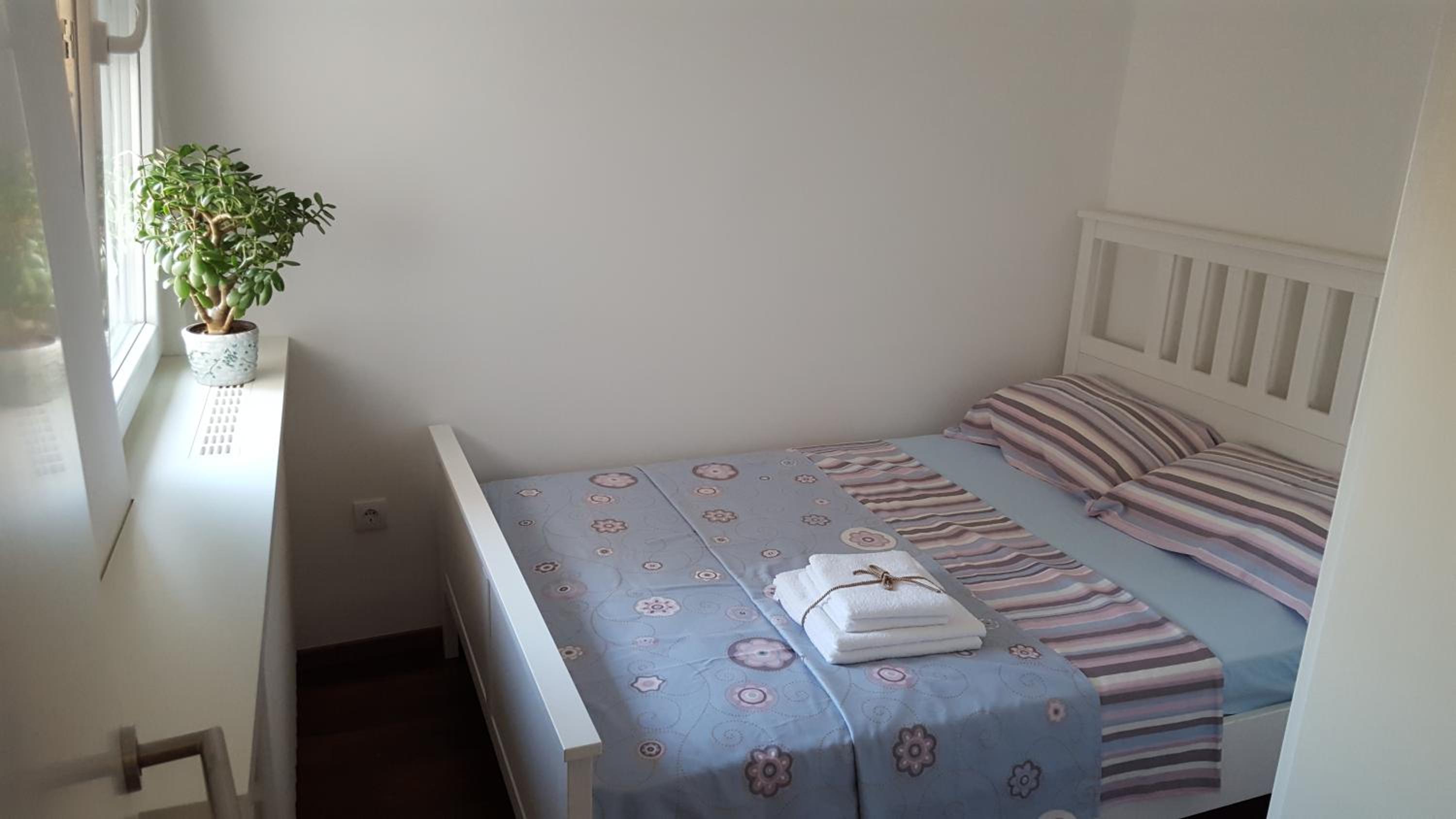 NS center apartment