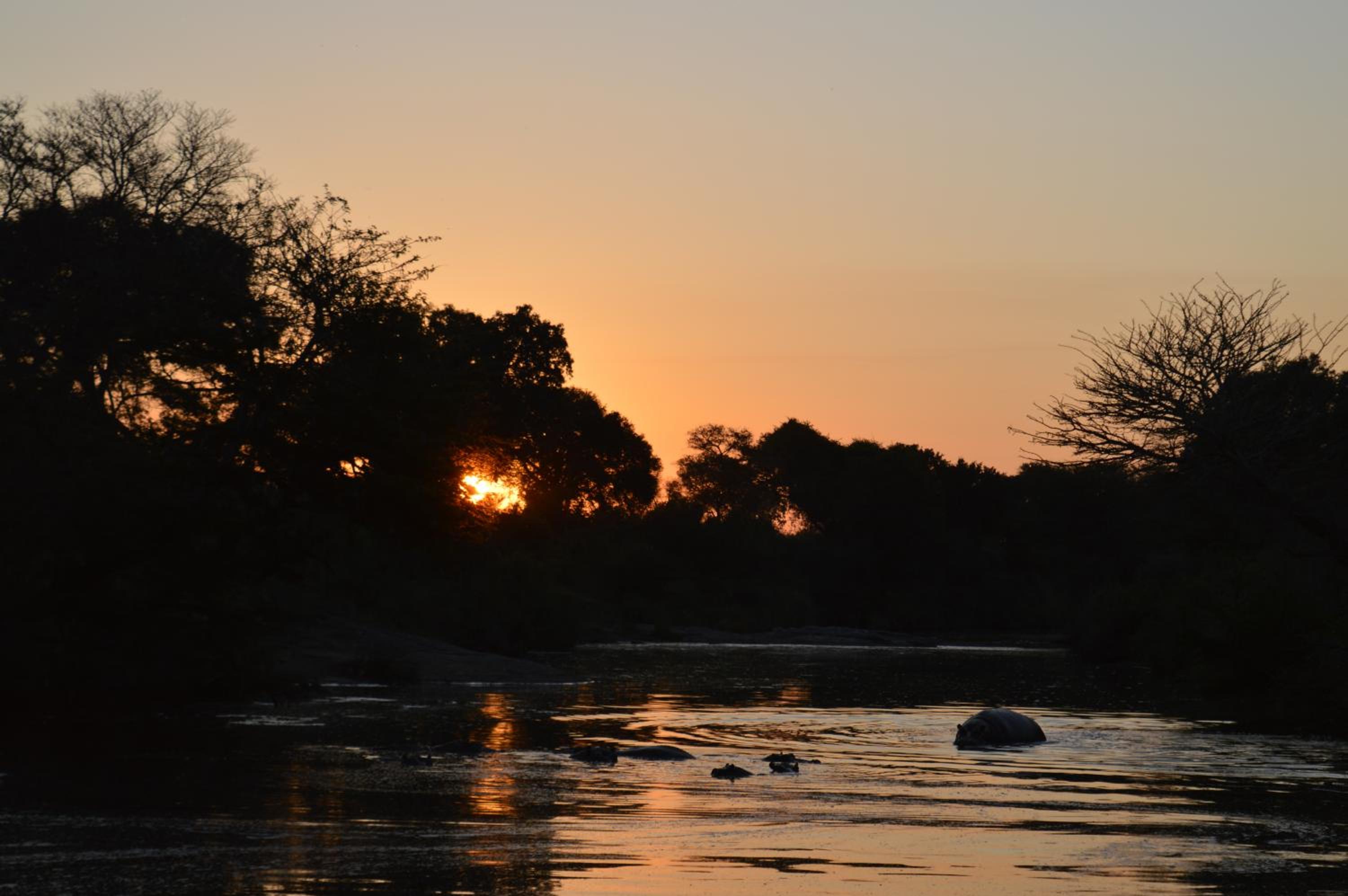 Imbube Safari Lodge