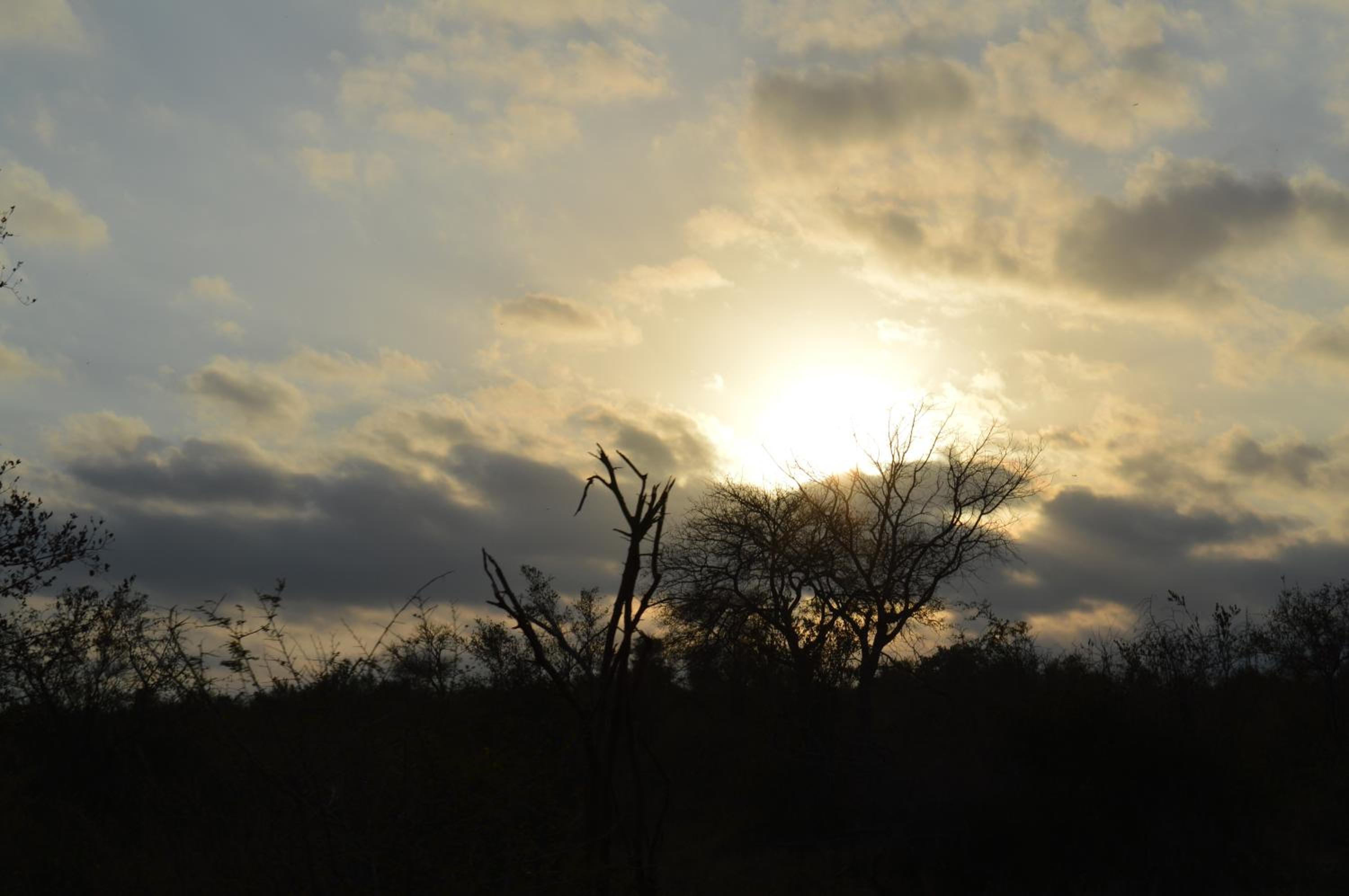 Imbube Safari Lodge