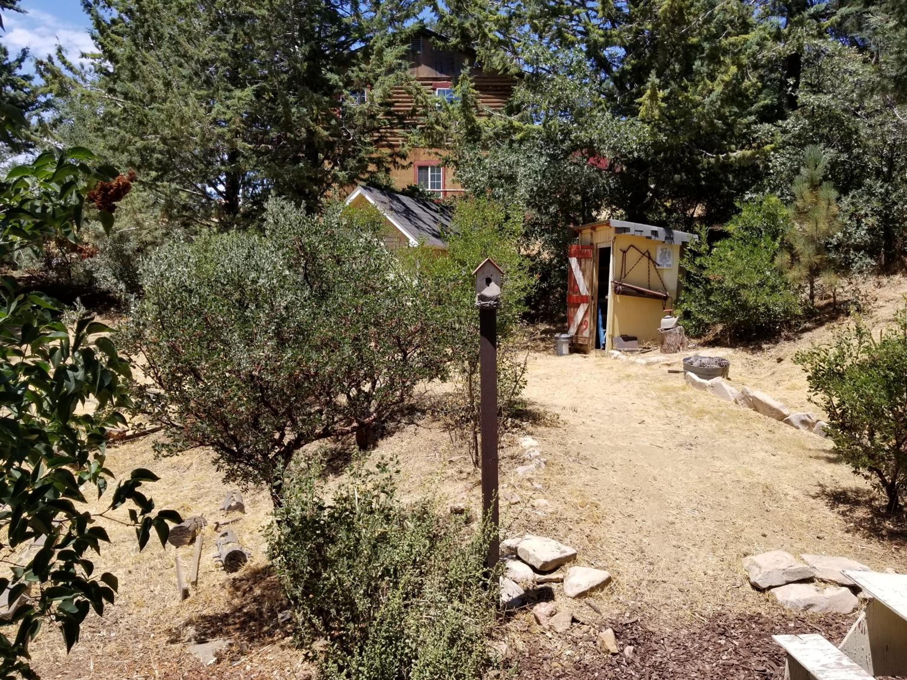 Photo 31