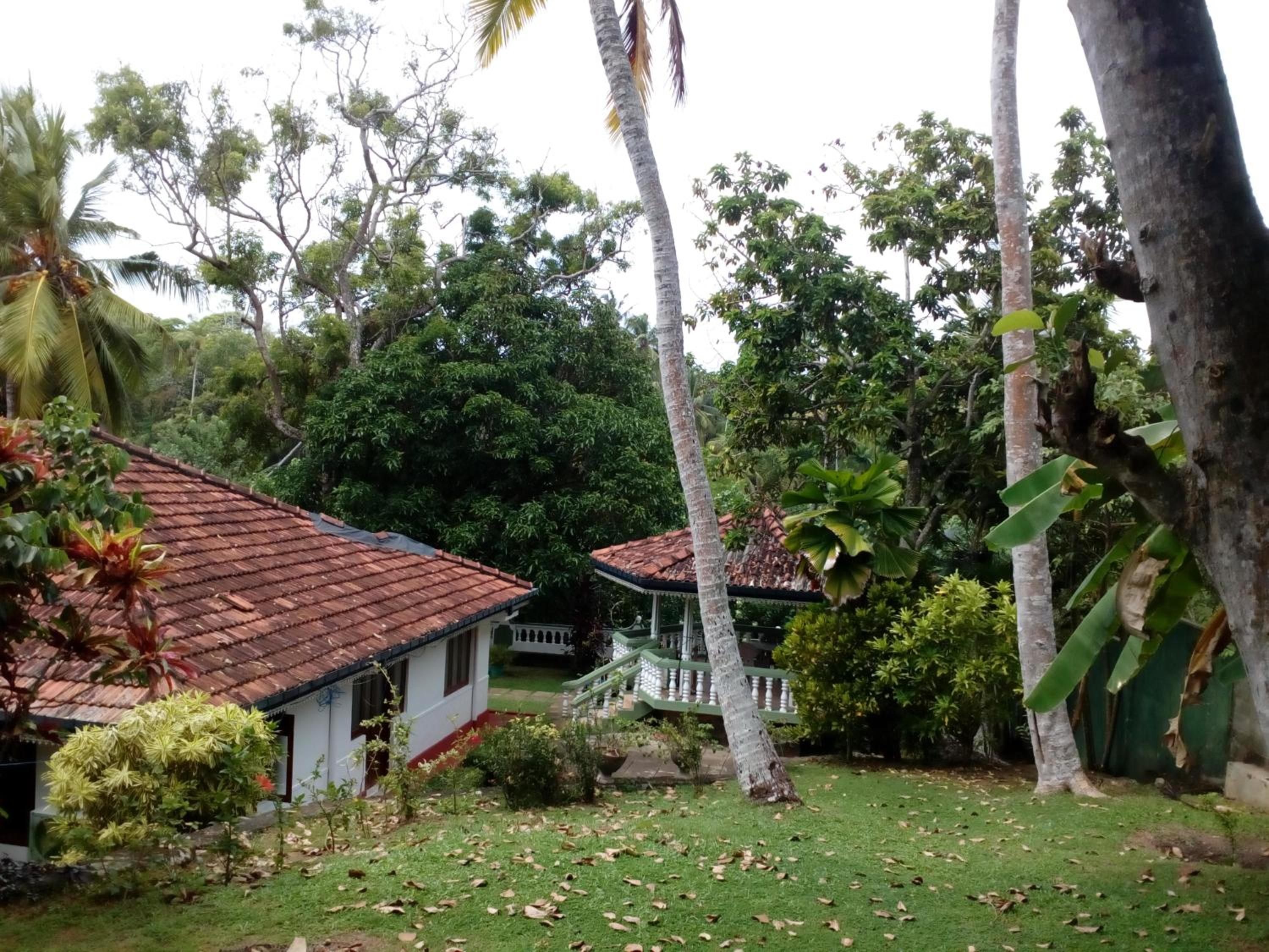 Sandasaranay