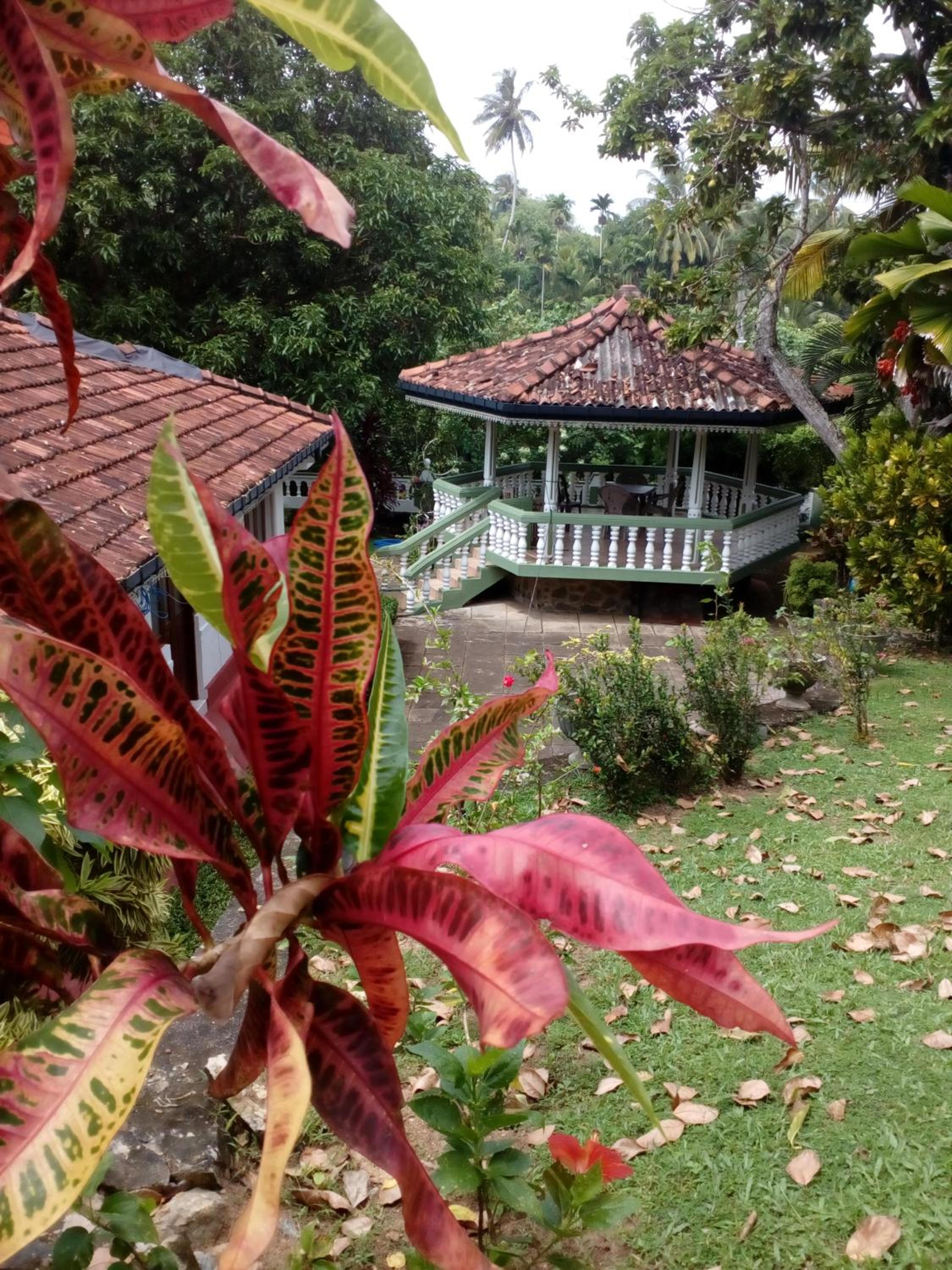 Sandasaranay