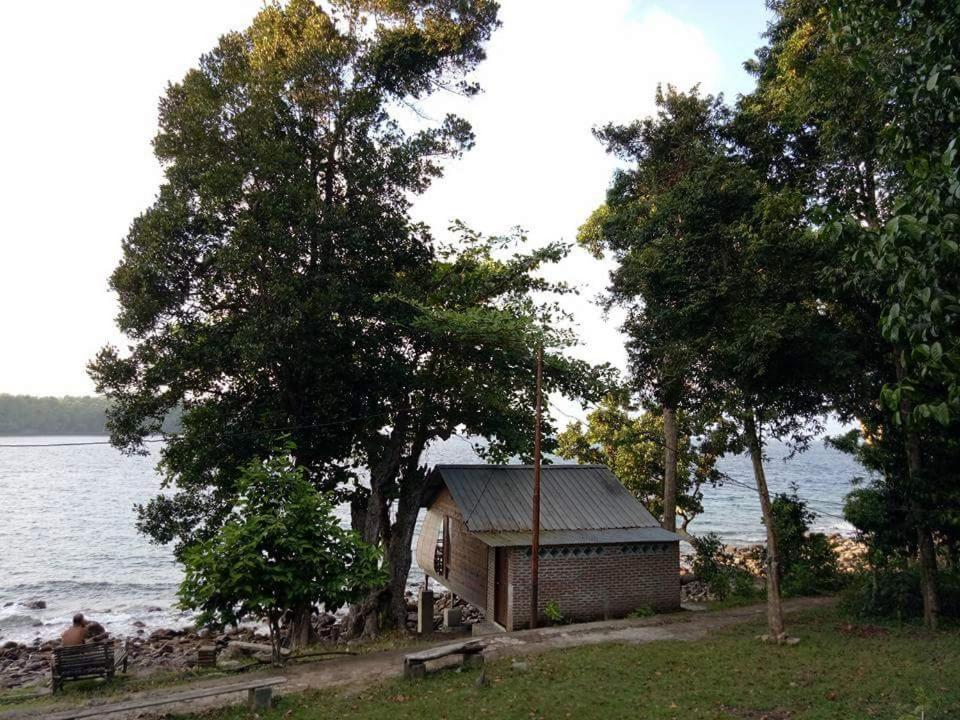 Photo 46