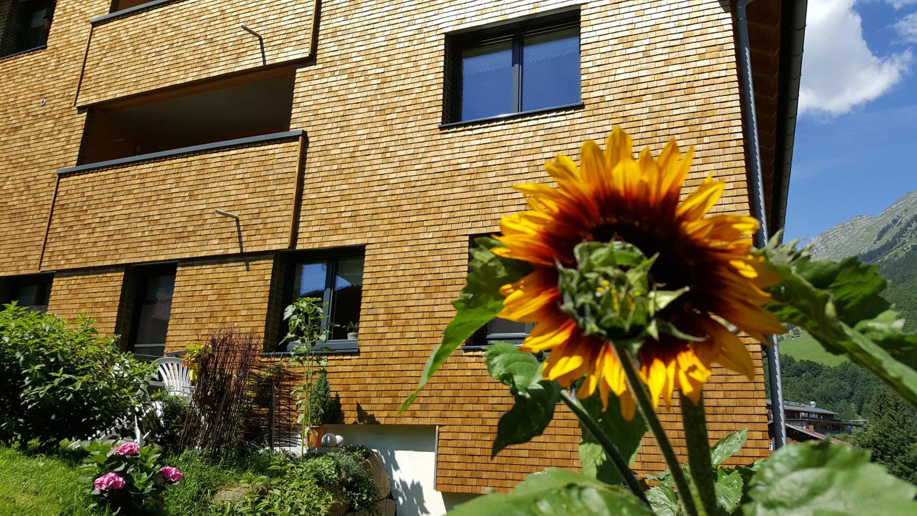 Bauernhof Dünser