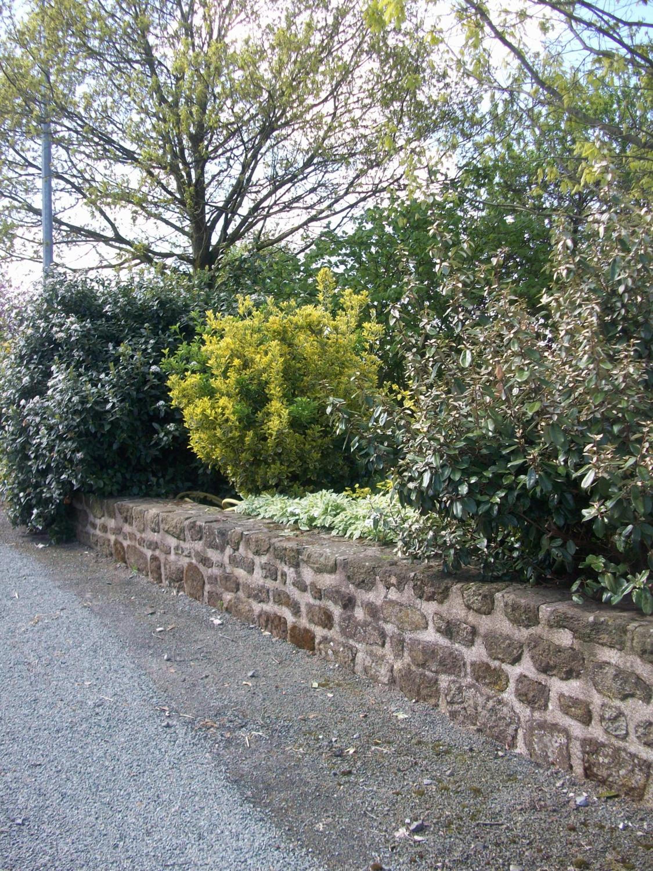 Photo 11