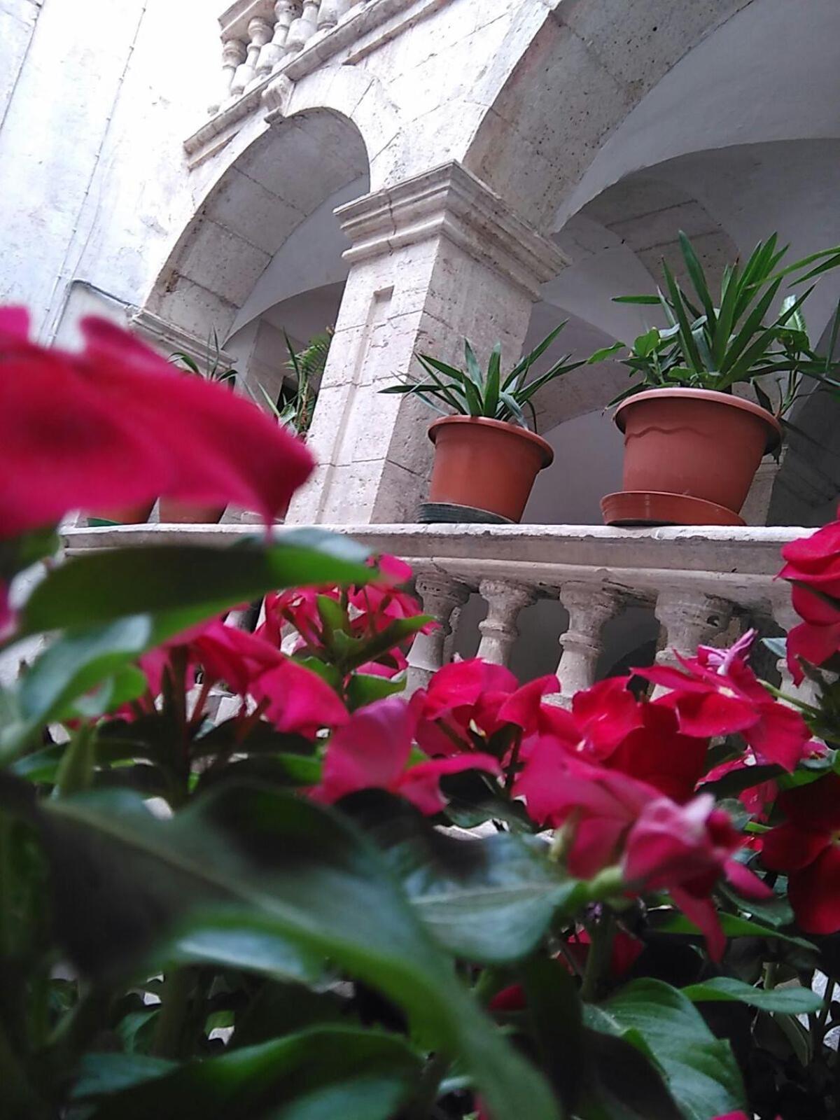 Photo 43