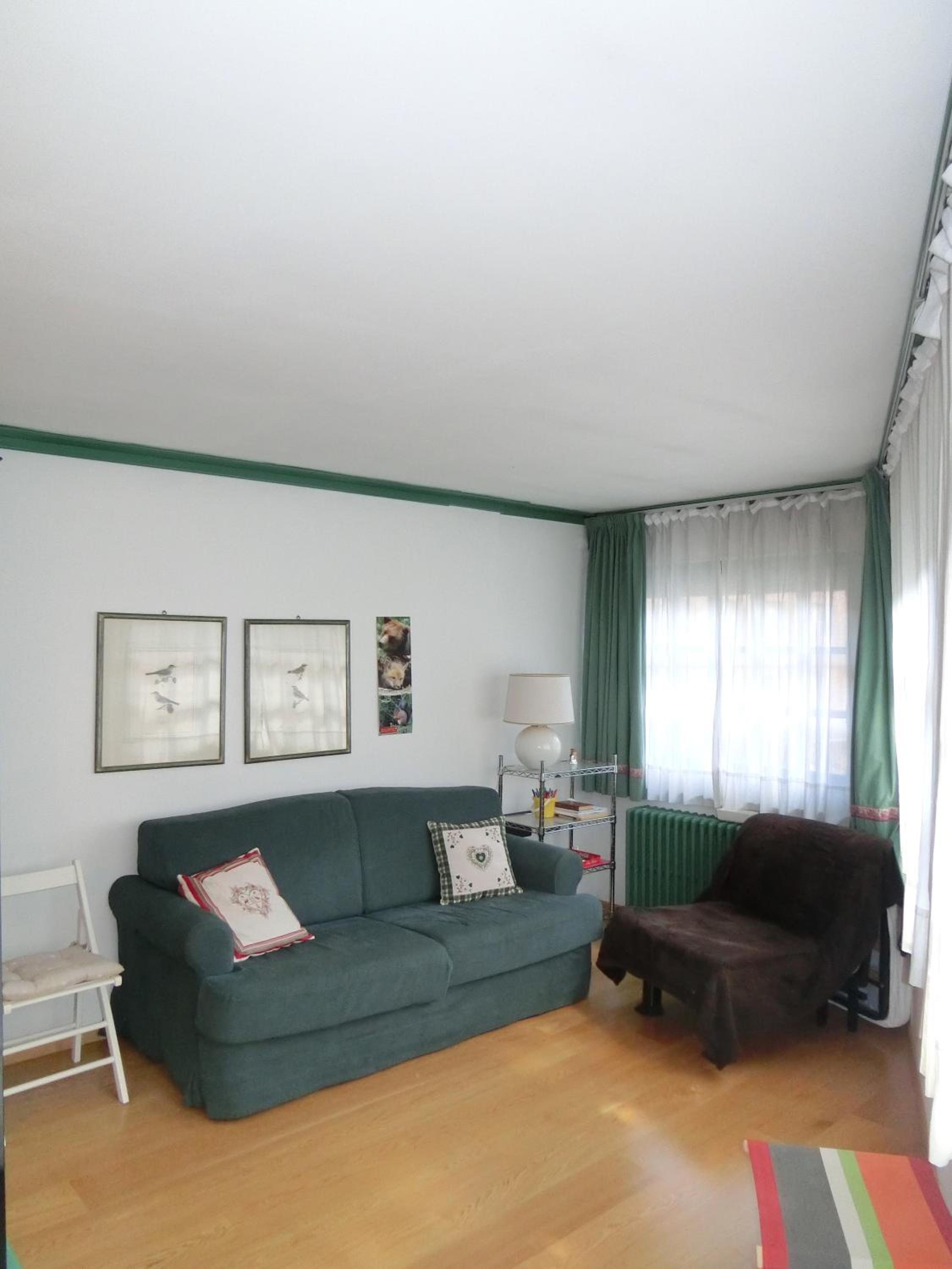 Sport Campiglio Apartment view 2