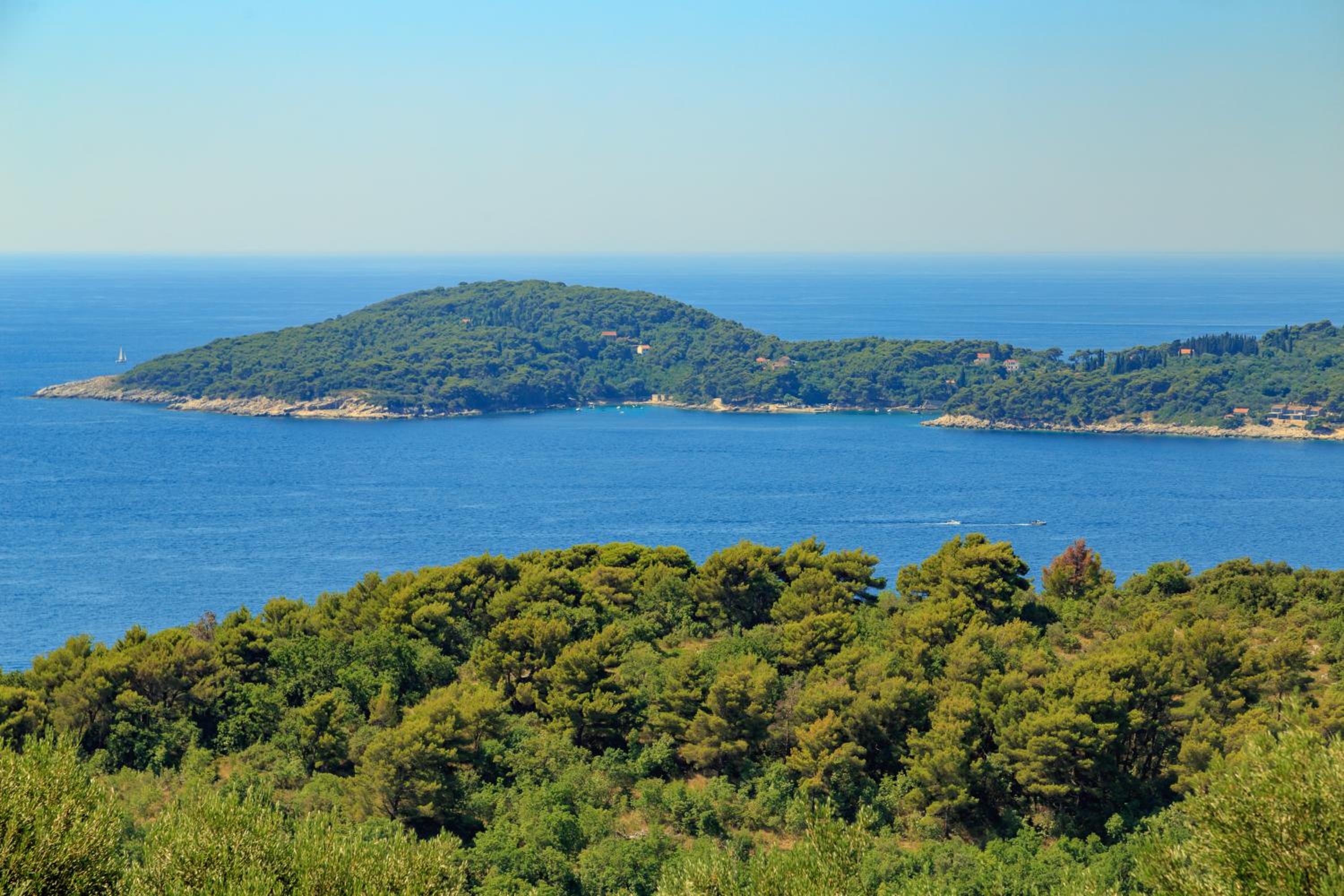 Hedera Estate, Villa Hedera VII view 2
