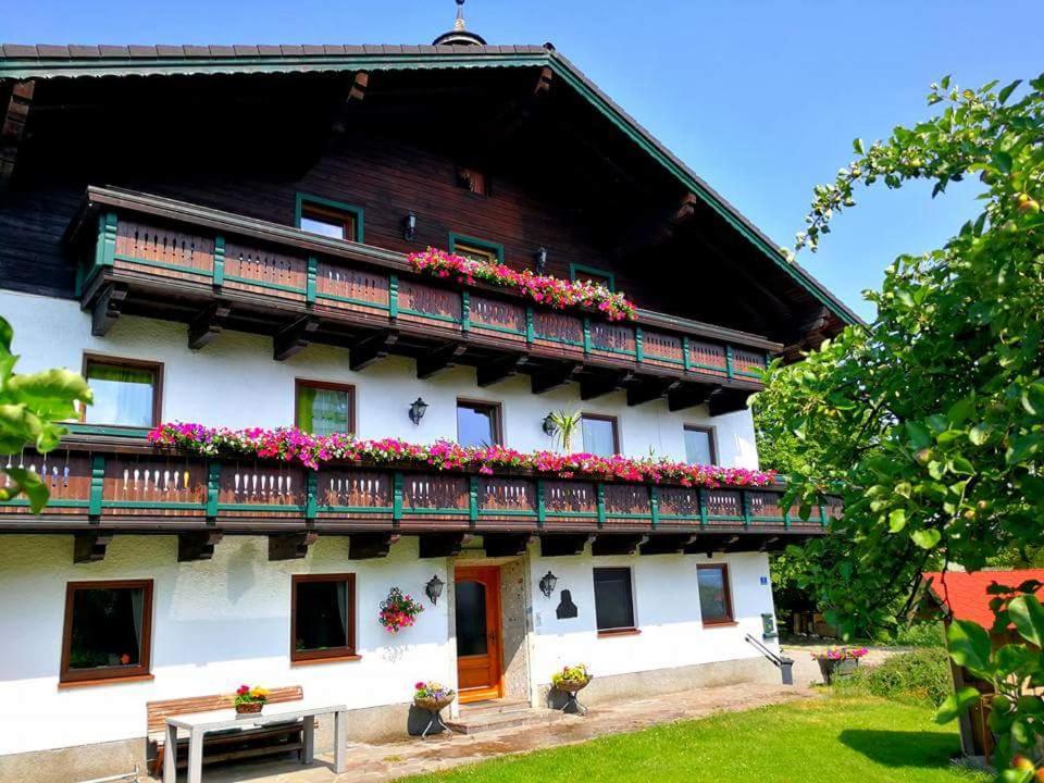 Schusterbauer