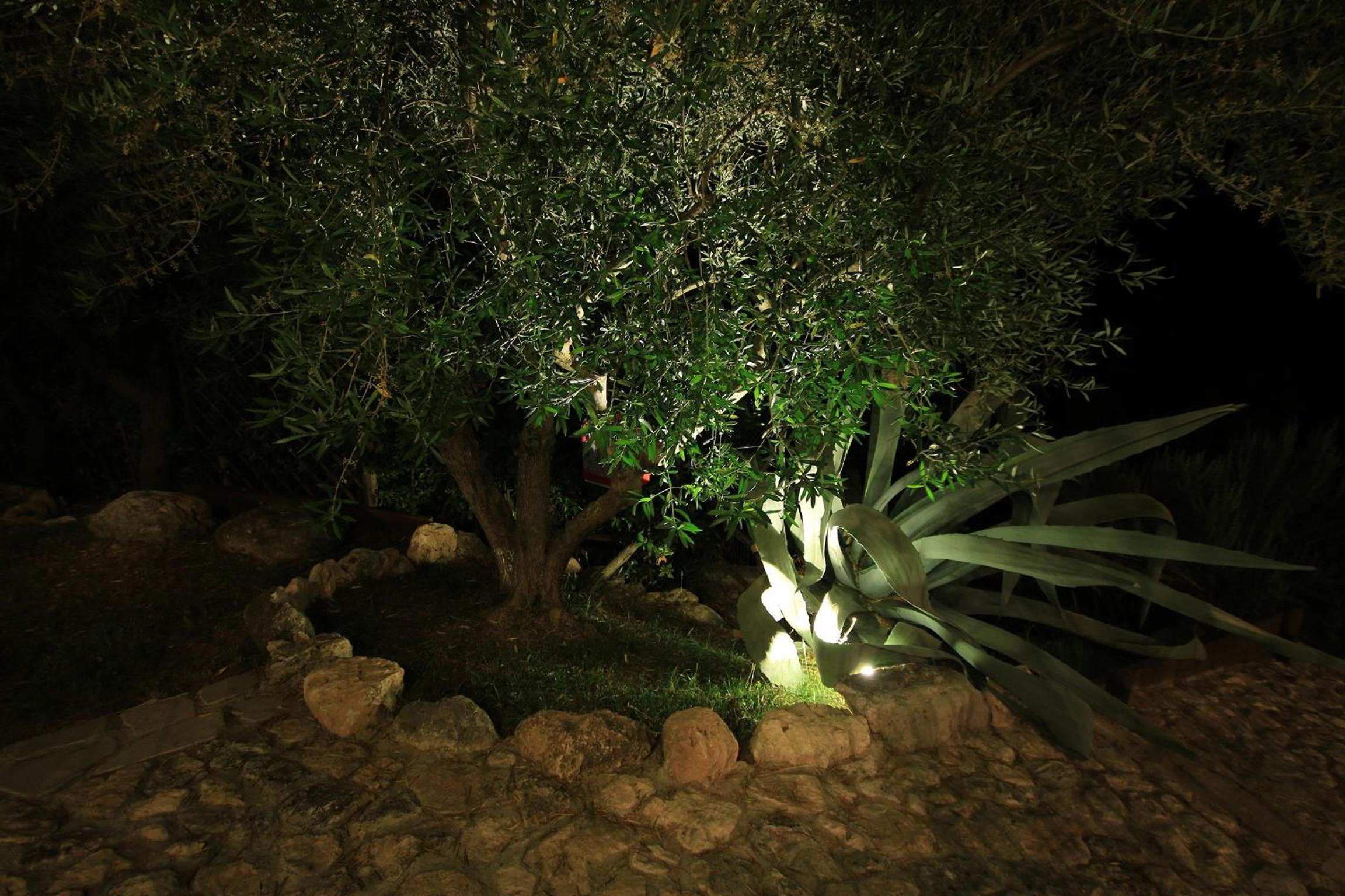 Photo 31