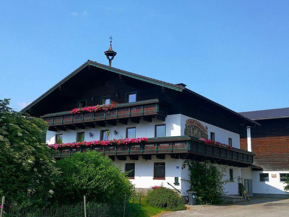 Schusterbauer