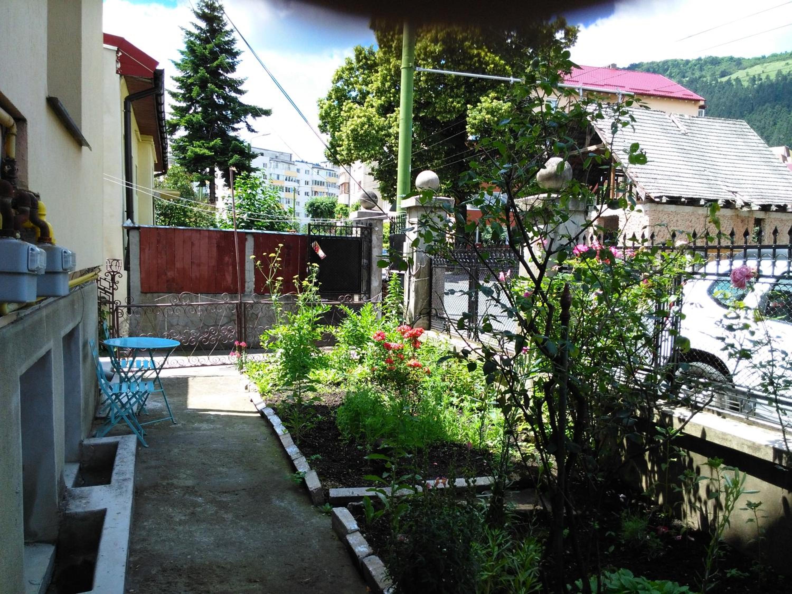 Photo 20