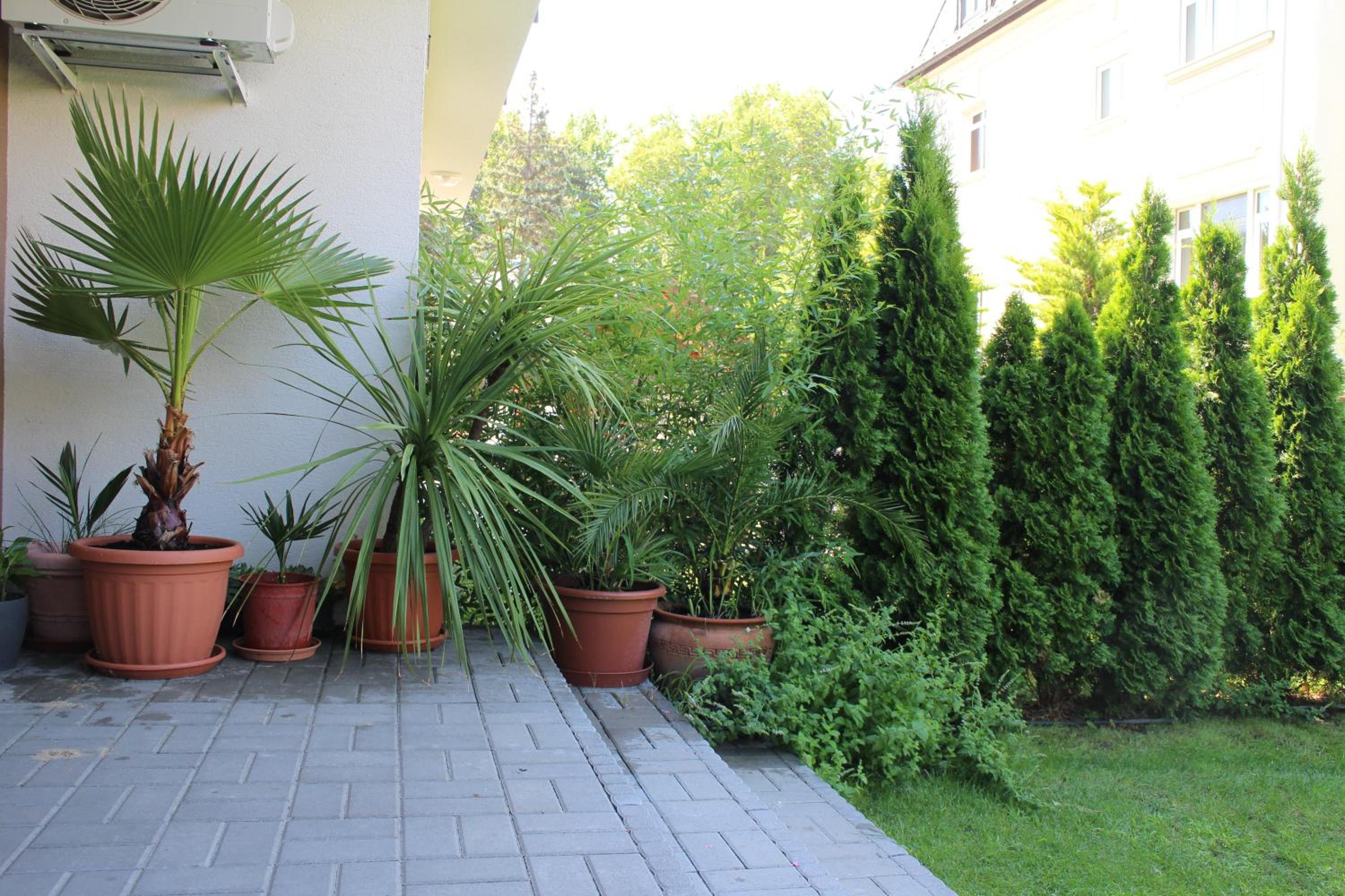 Photo 57