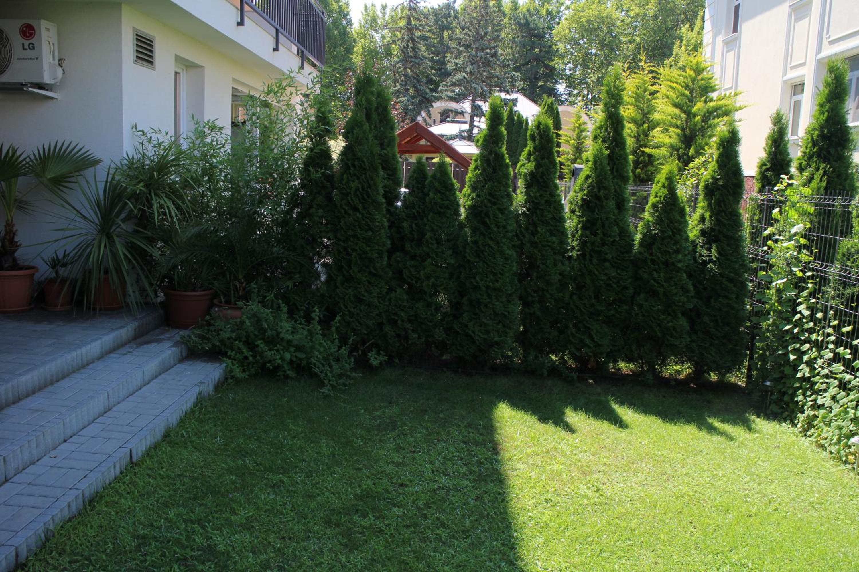 Photo 55