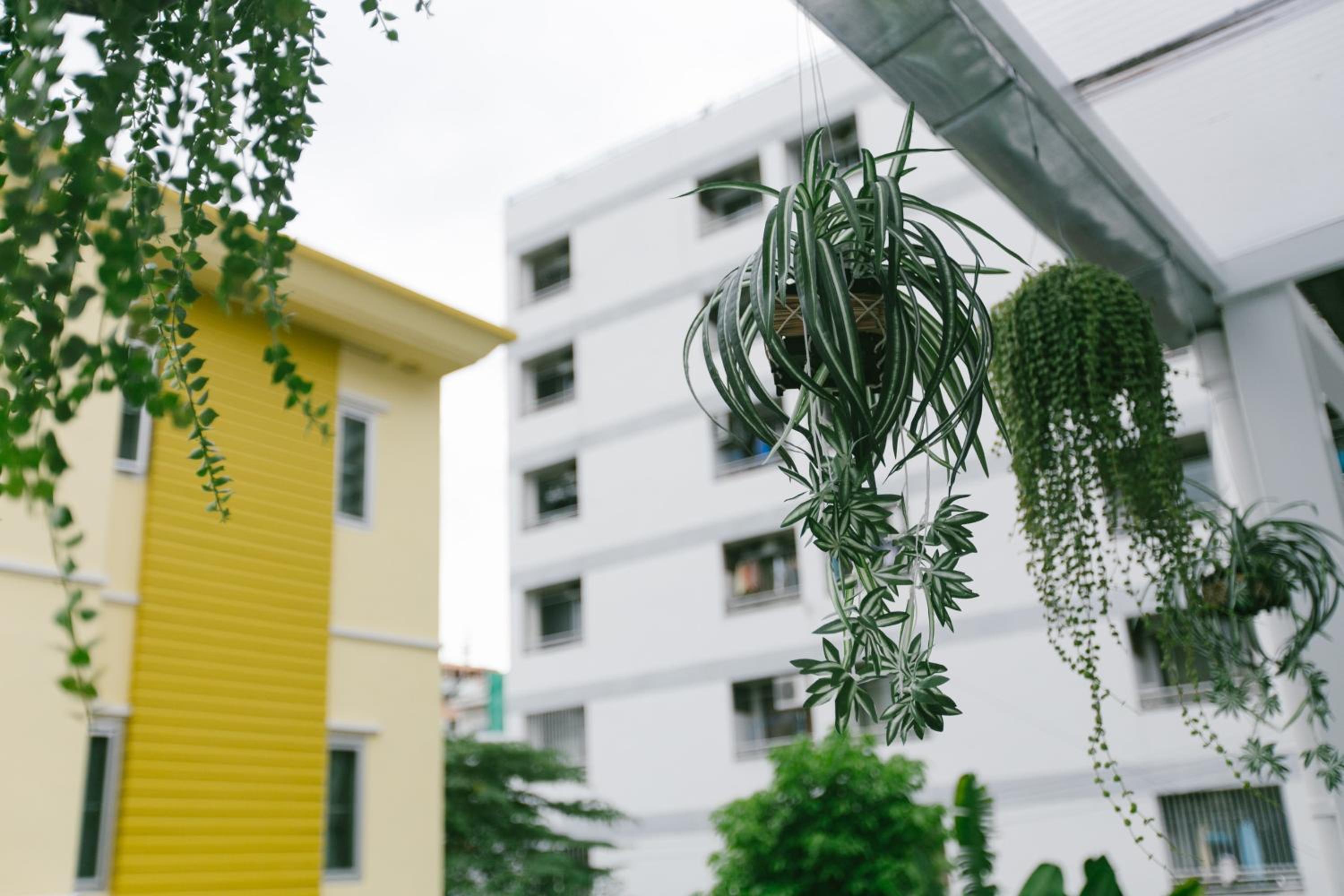 Diff Hostel