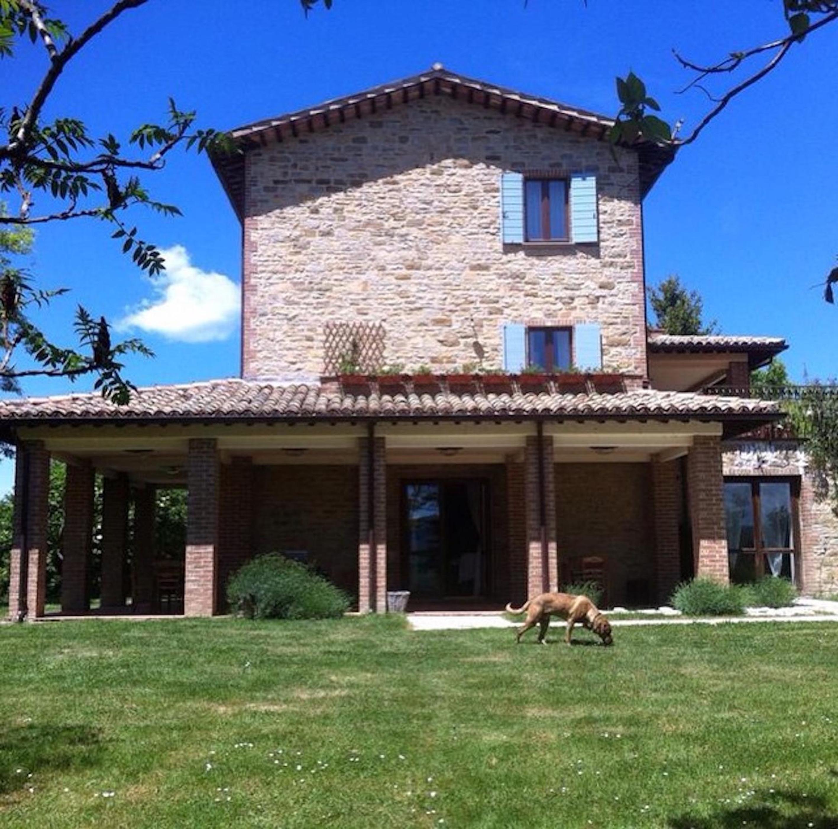 Photo 12