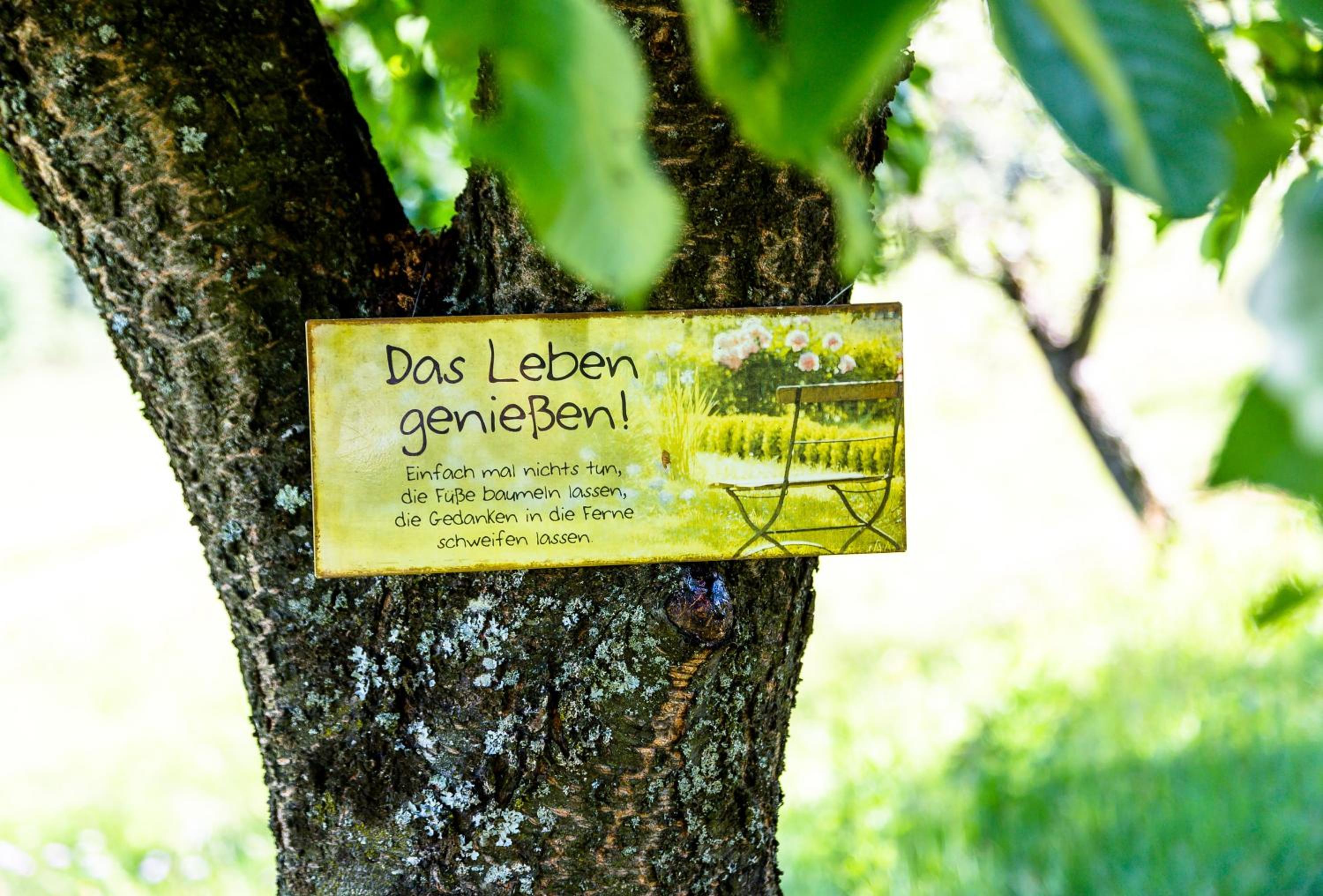 Birkenhof Loipersdorf
