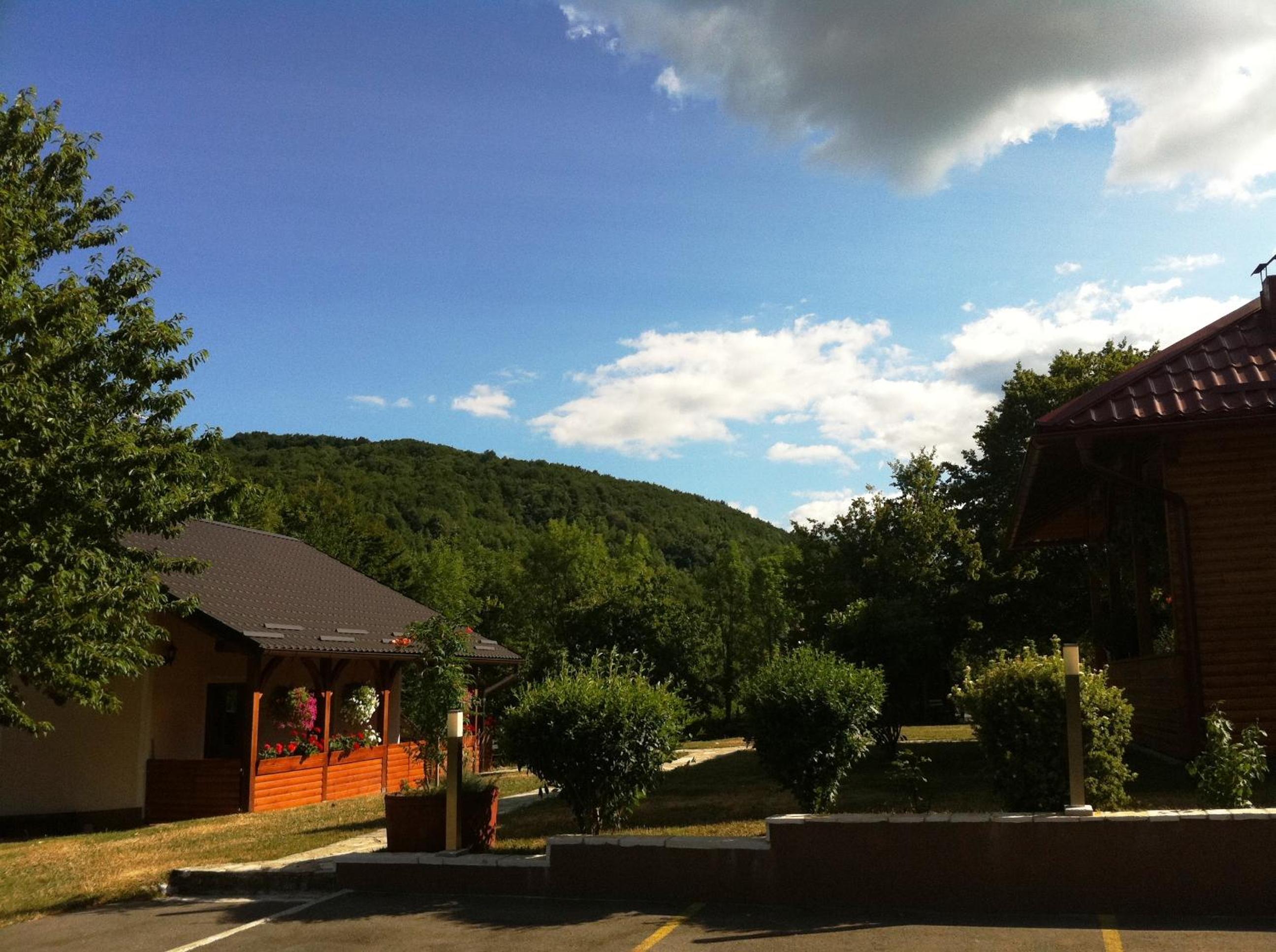Photo 20