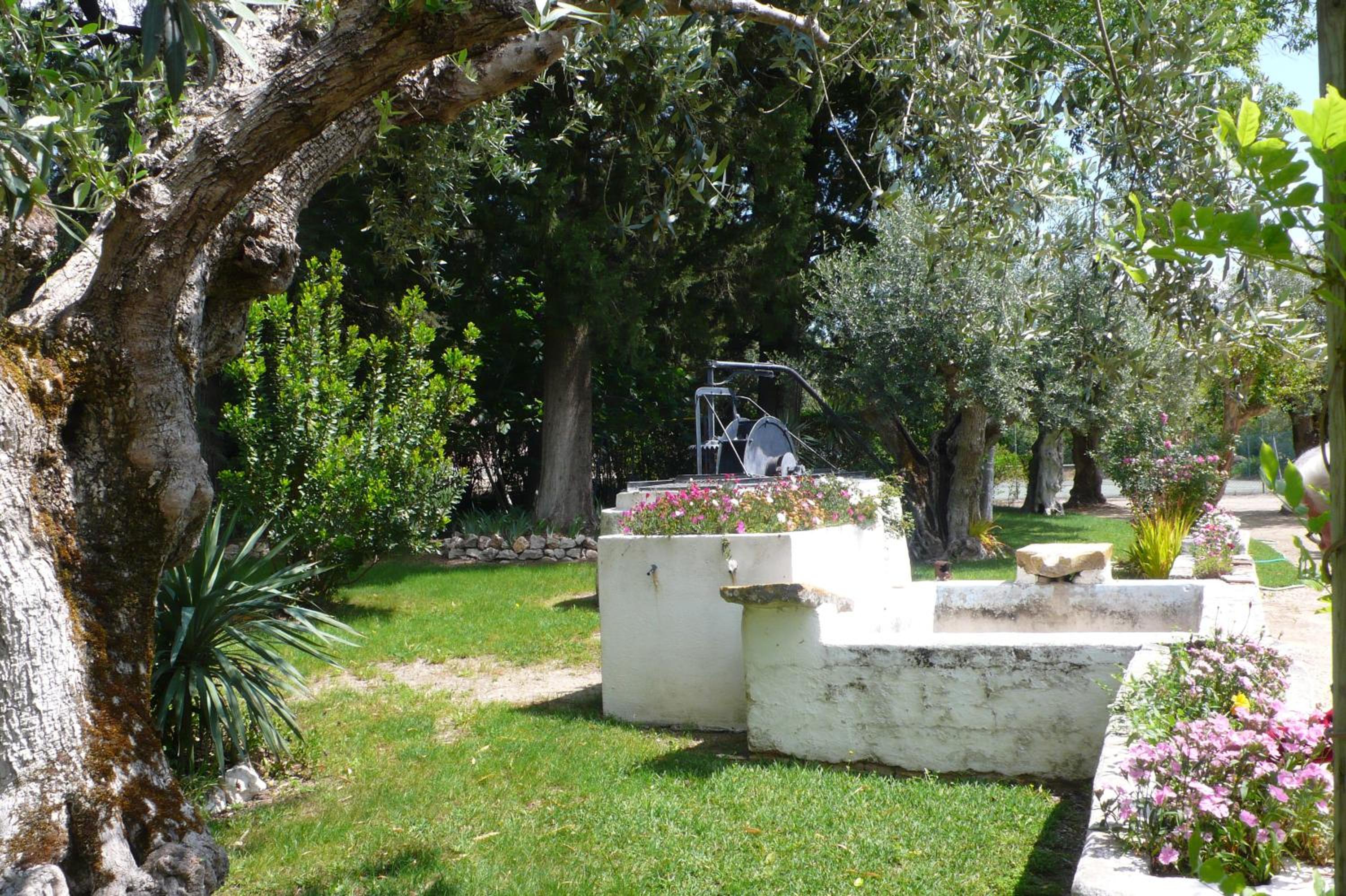 Photo 22