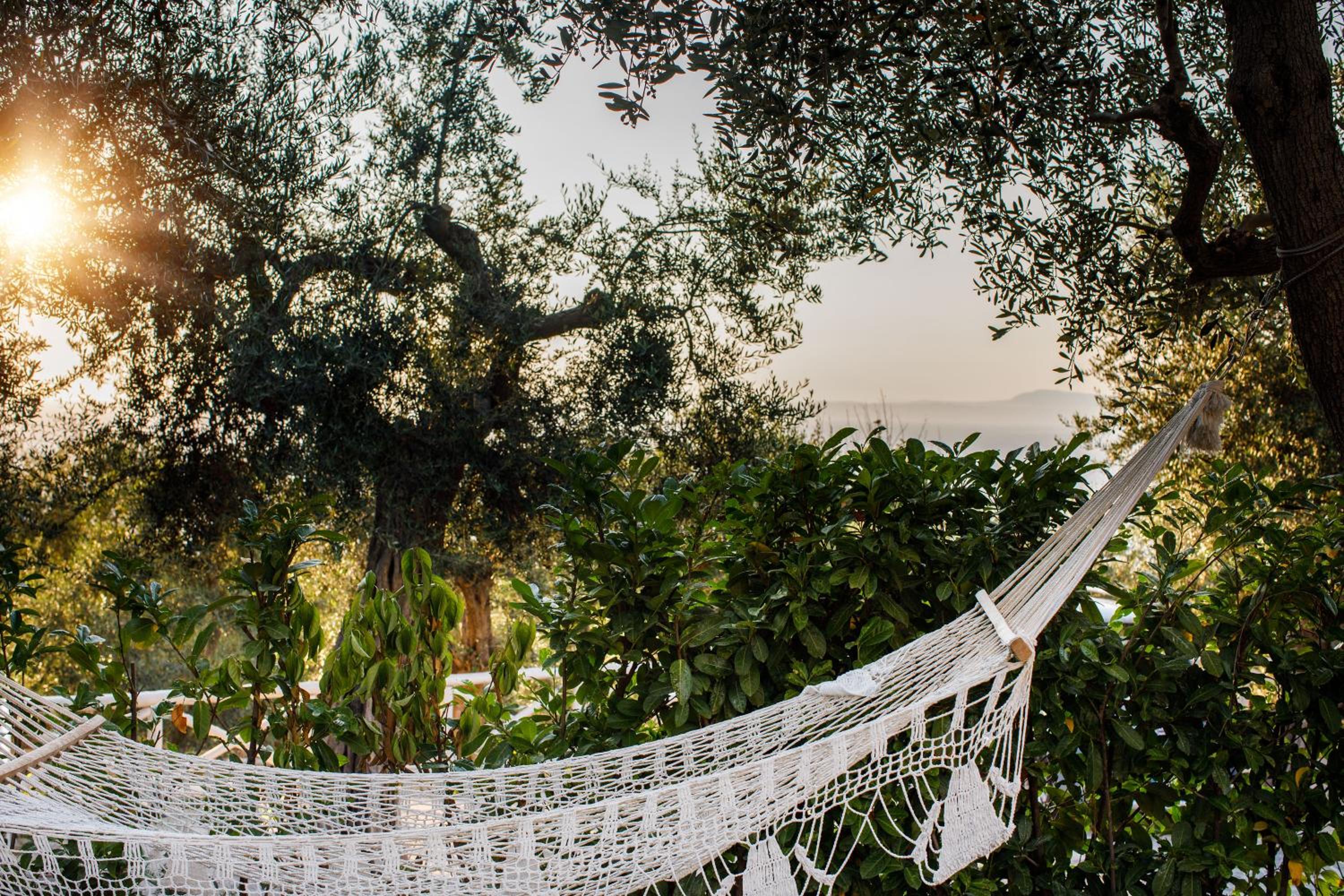 MelRose Relais