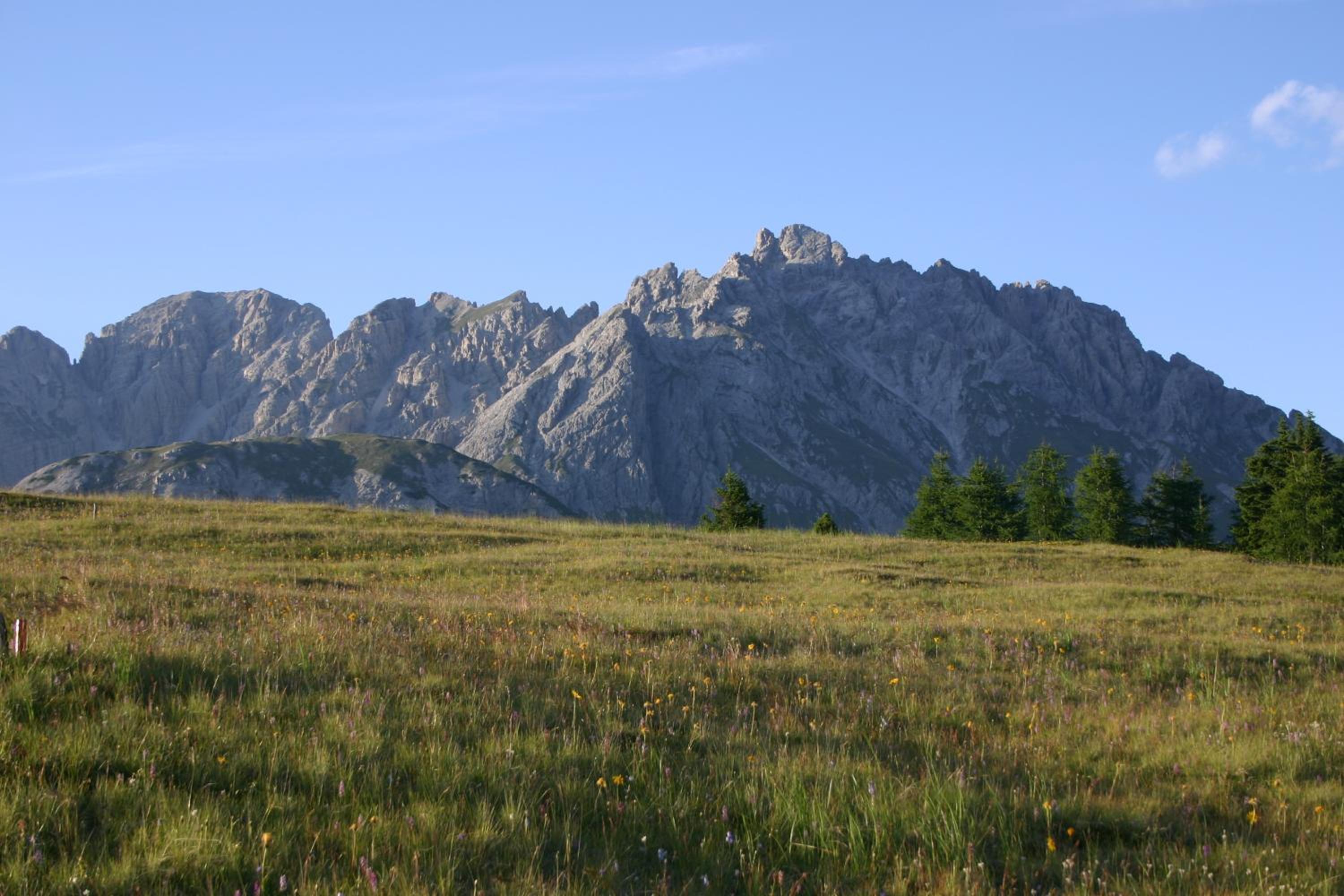 Photo 43