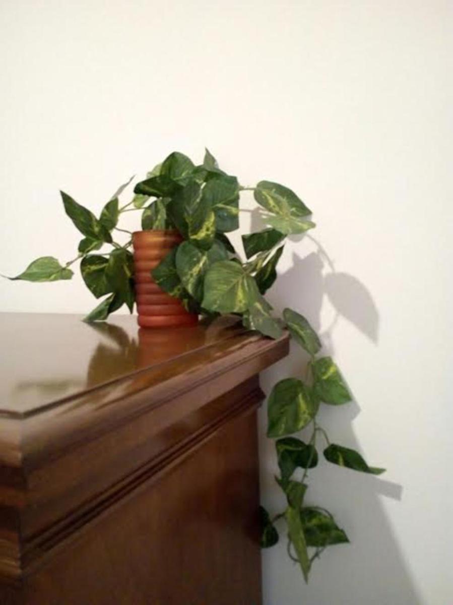 Photo 27